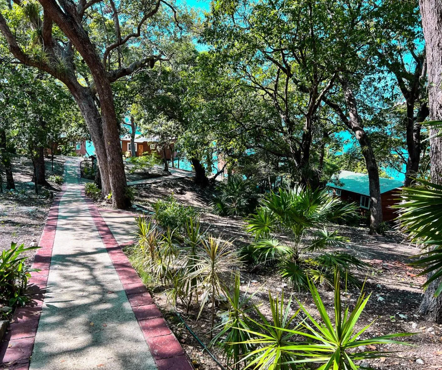 Natural landscape in The Resort at Marble Hill