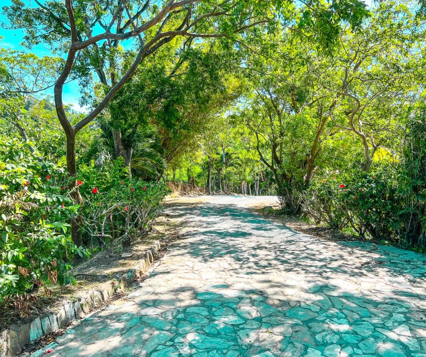 Natural landscape in The Resort at Marble Hill
