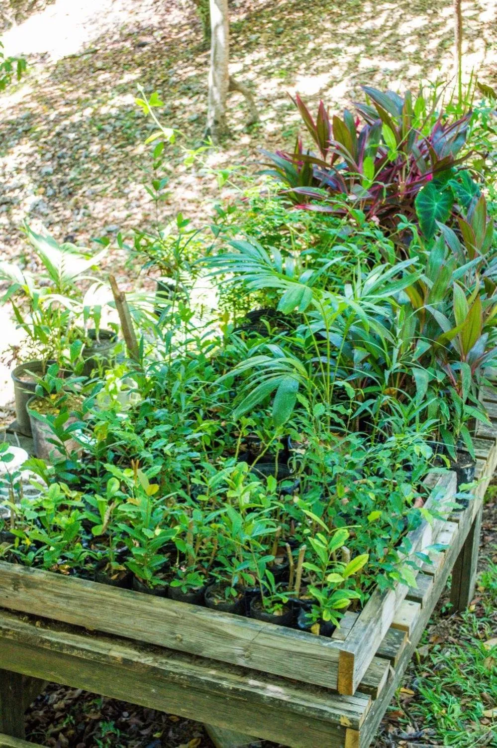 The Resort at Marble Hill