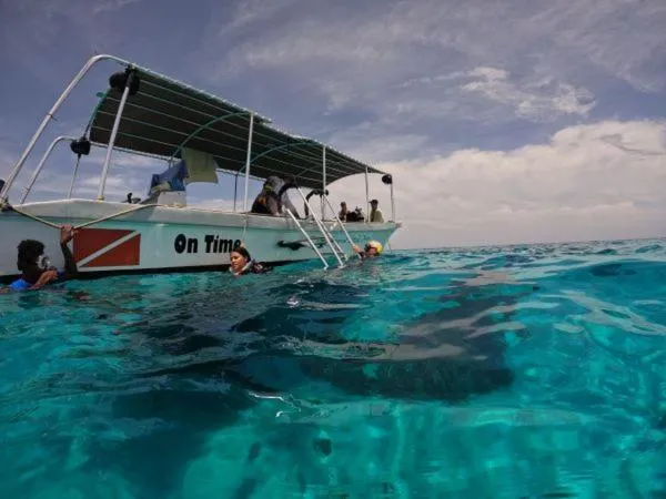 The Resort at Marble Hill