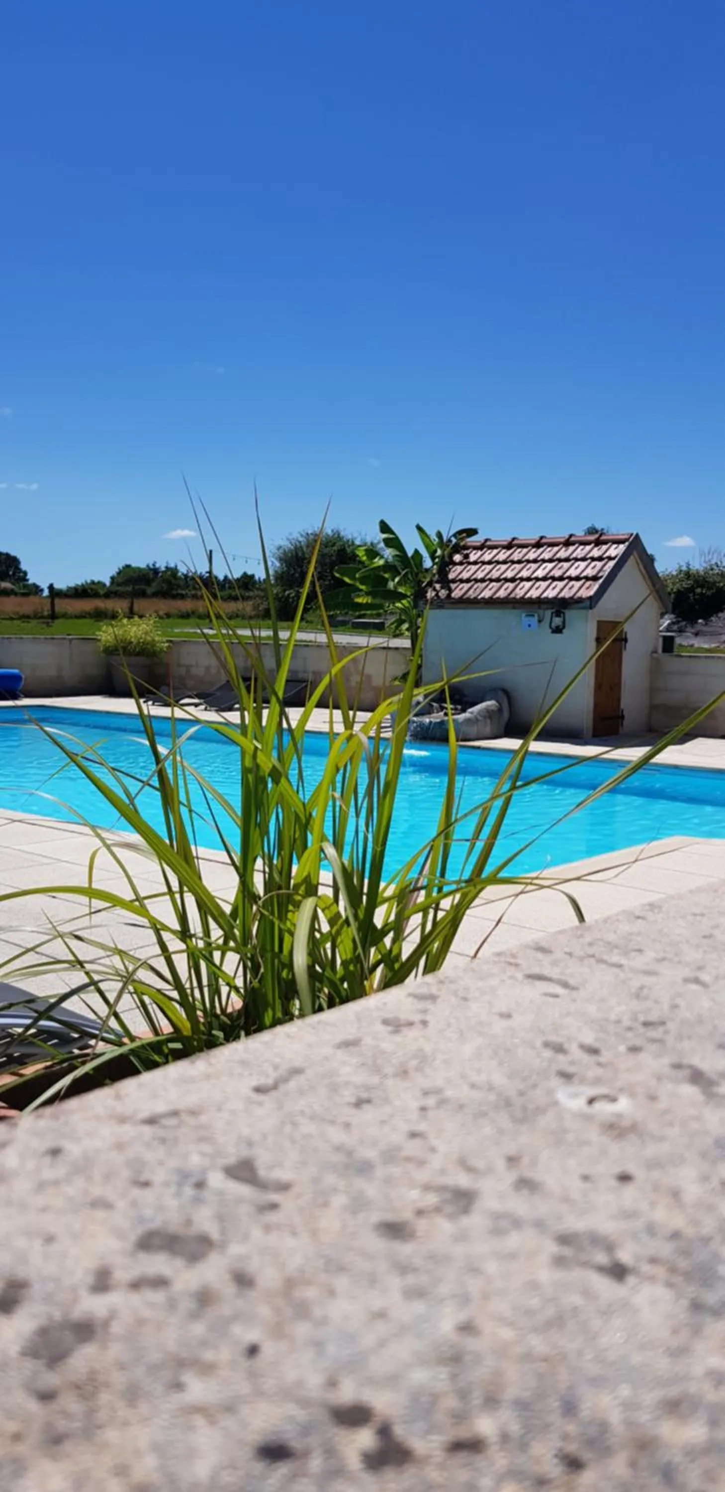 Swimming pool in Gites Le Grand Tornage holiday fun for the whole family