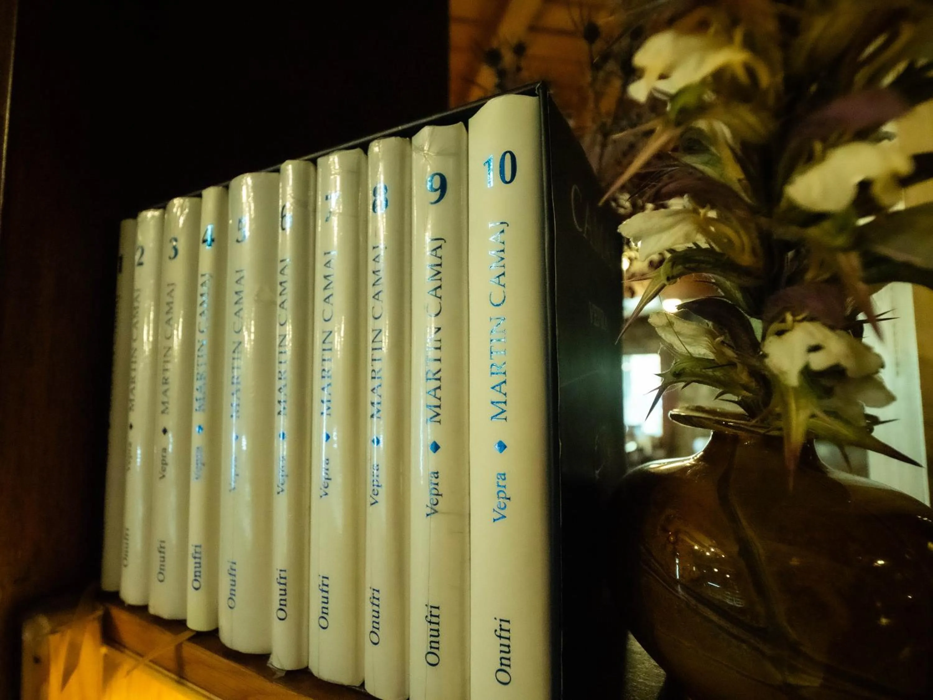 Library in Natyral Razma Resort