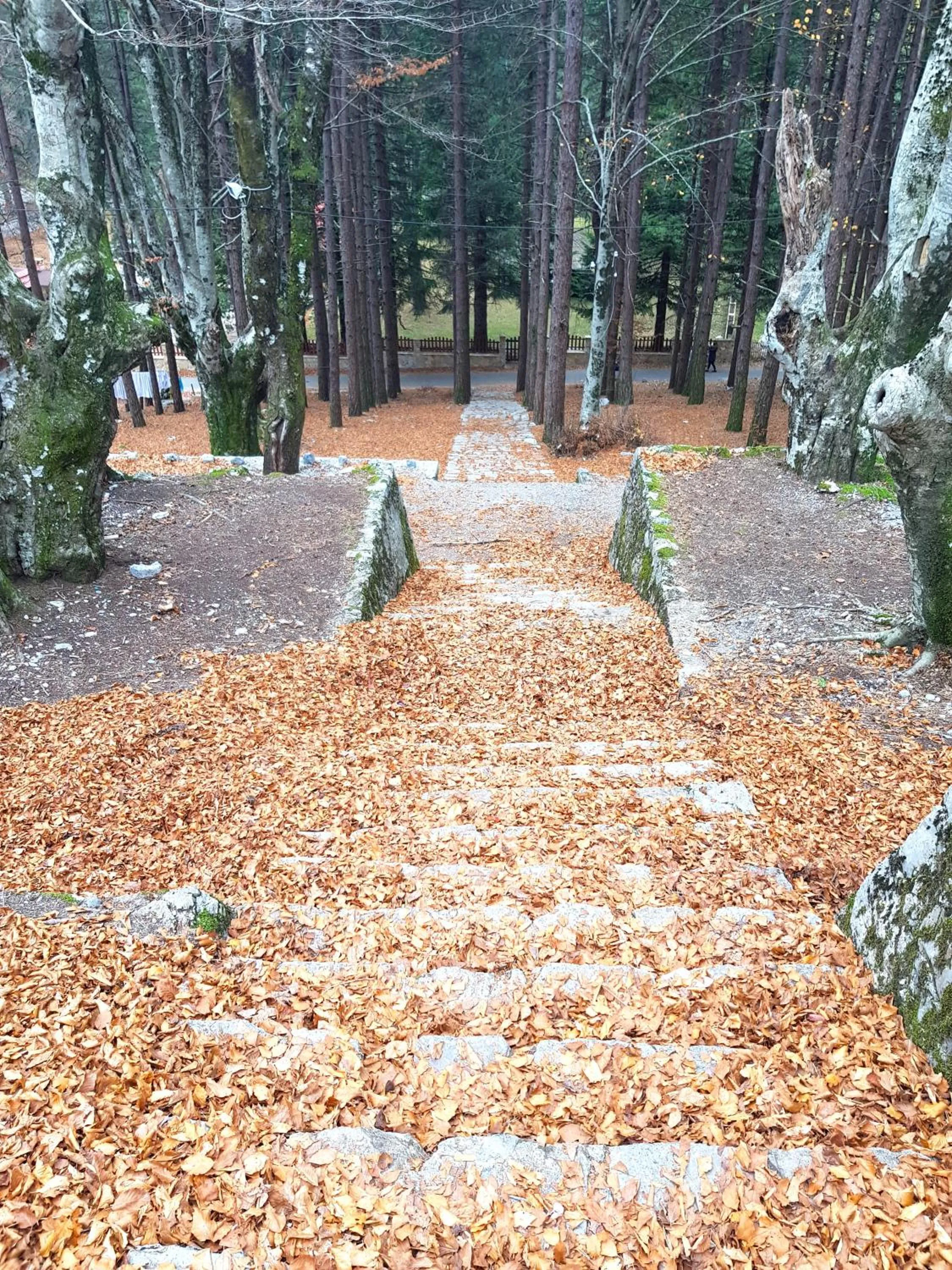 Natural landscape in Natyral Razma Resort