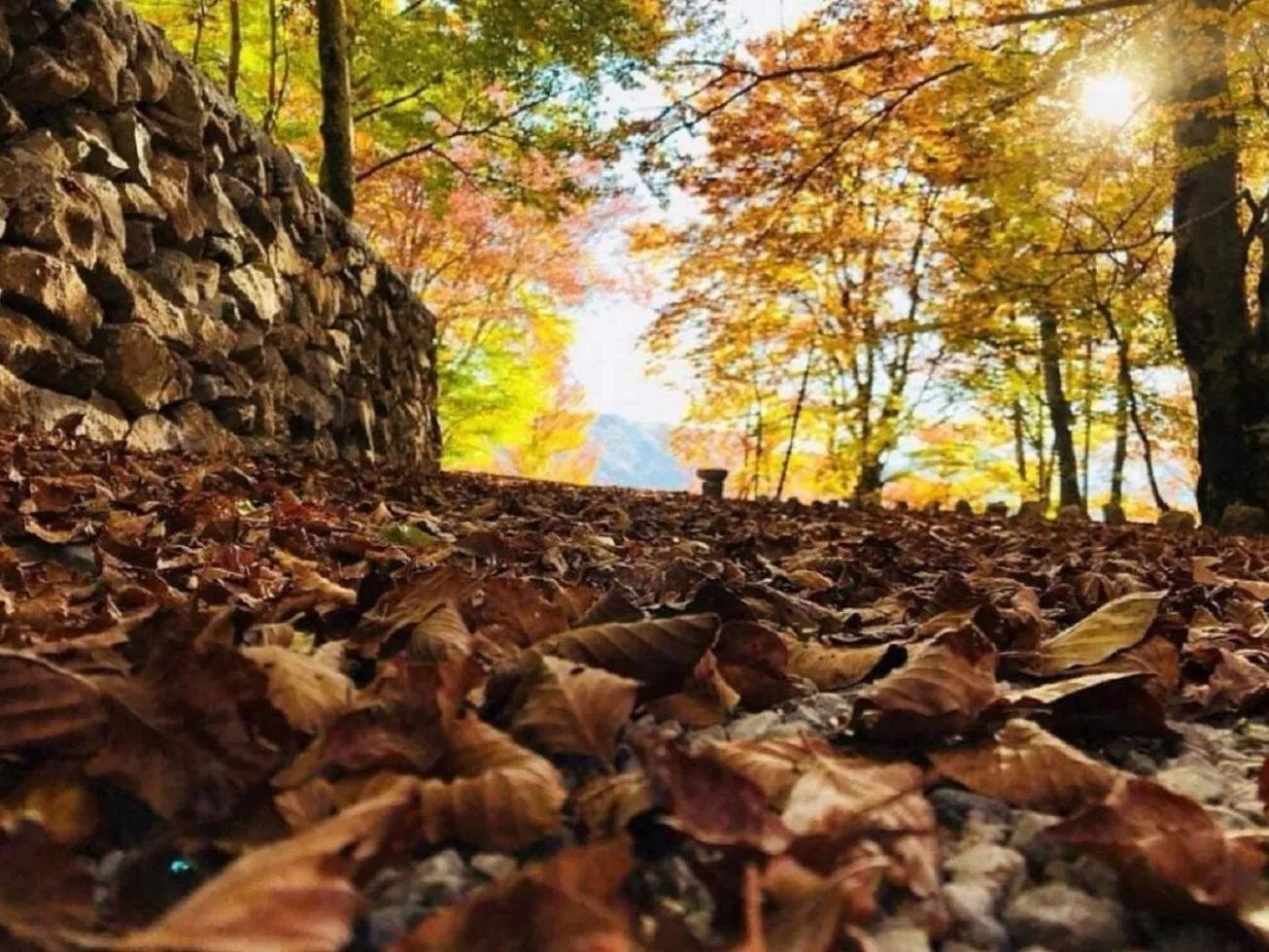 Natural landscape in Natyral Razma Resort