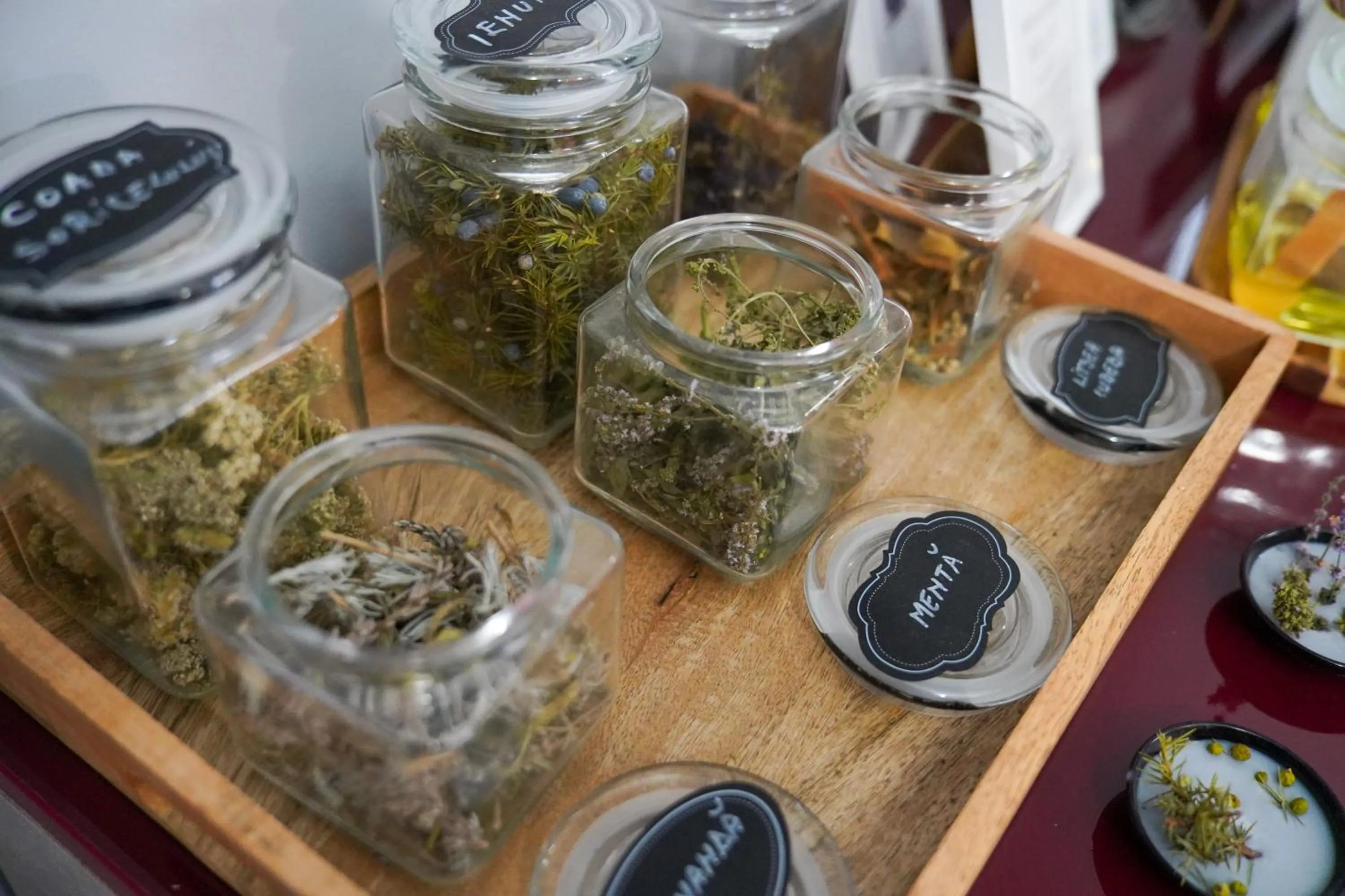 Spa and wellness centre/facilities in Caprioara Spa&Wellness Resort