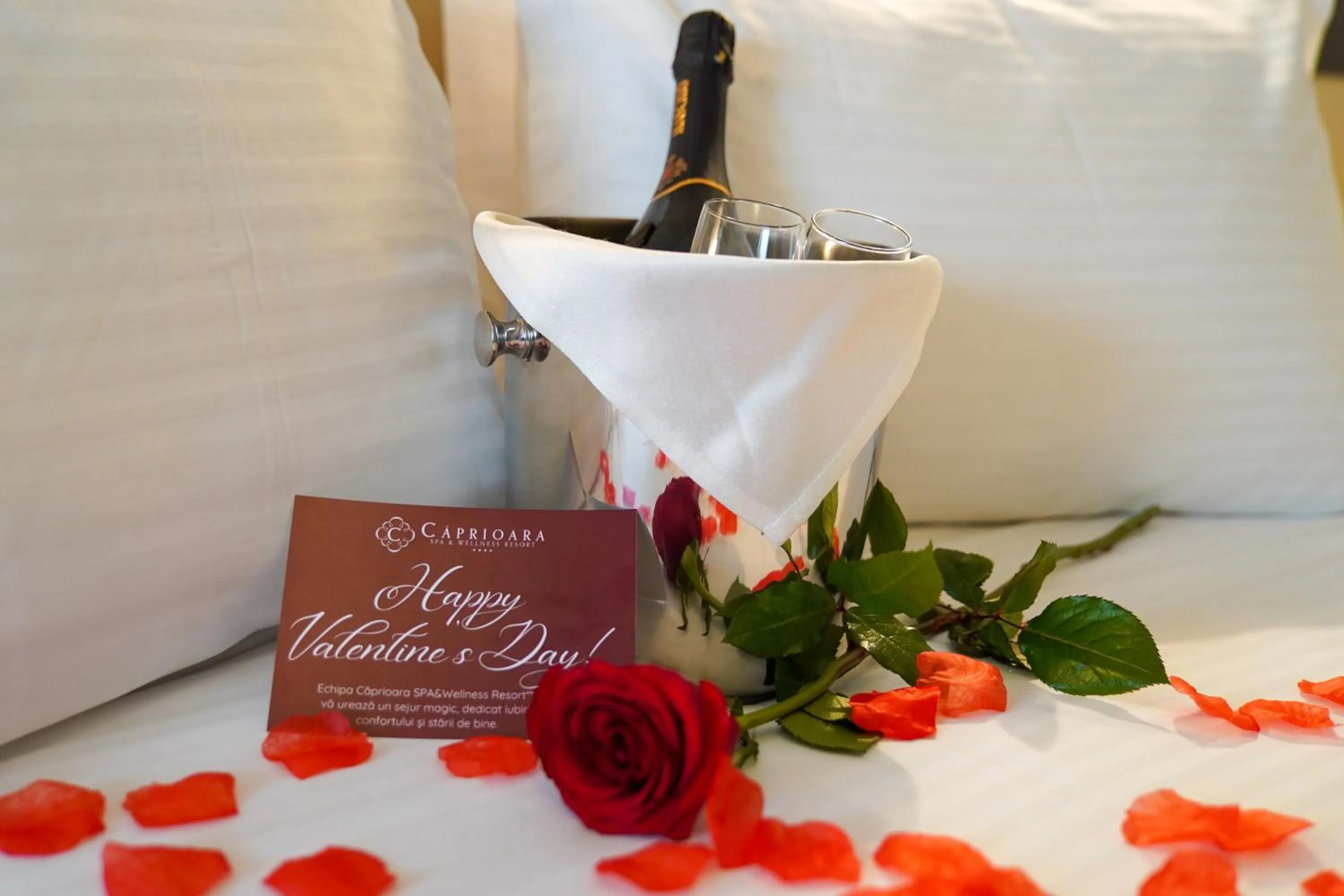 Photo of the whole room in Caprioara Spa&Wellness Resort