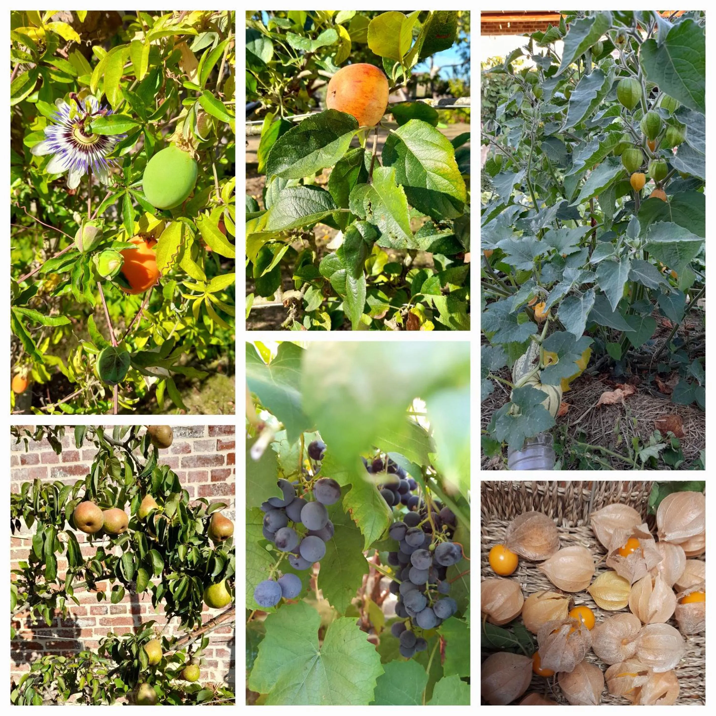 Chambres d'hôtes La Luce