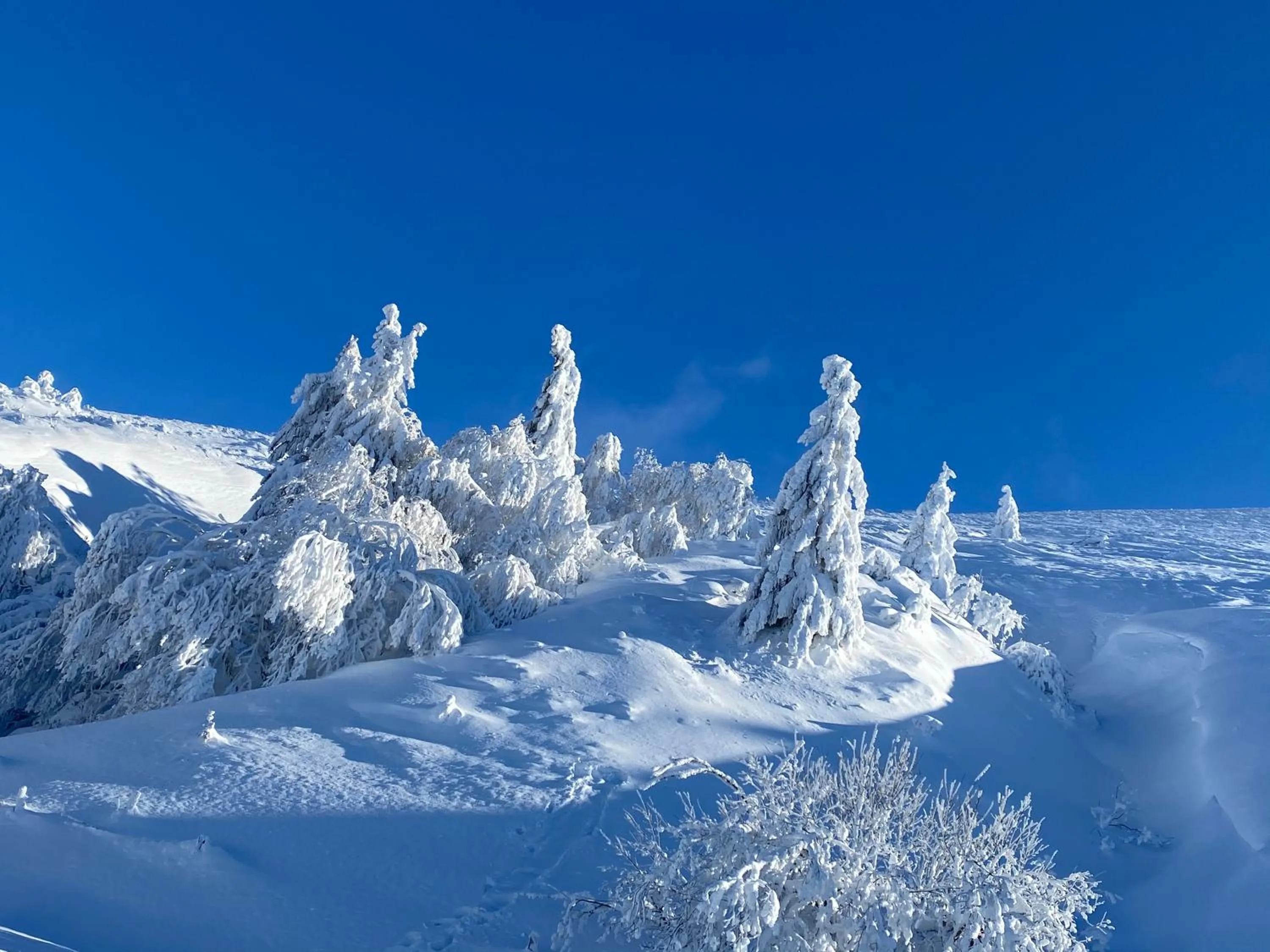 Natural landscape in Hôtel Les Mouflons
