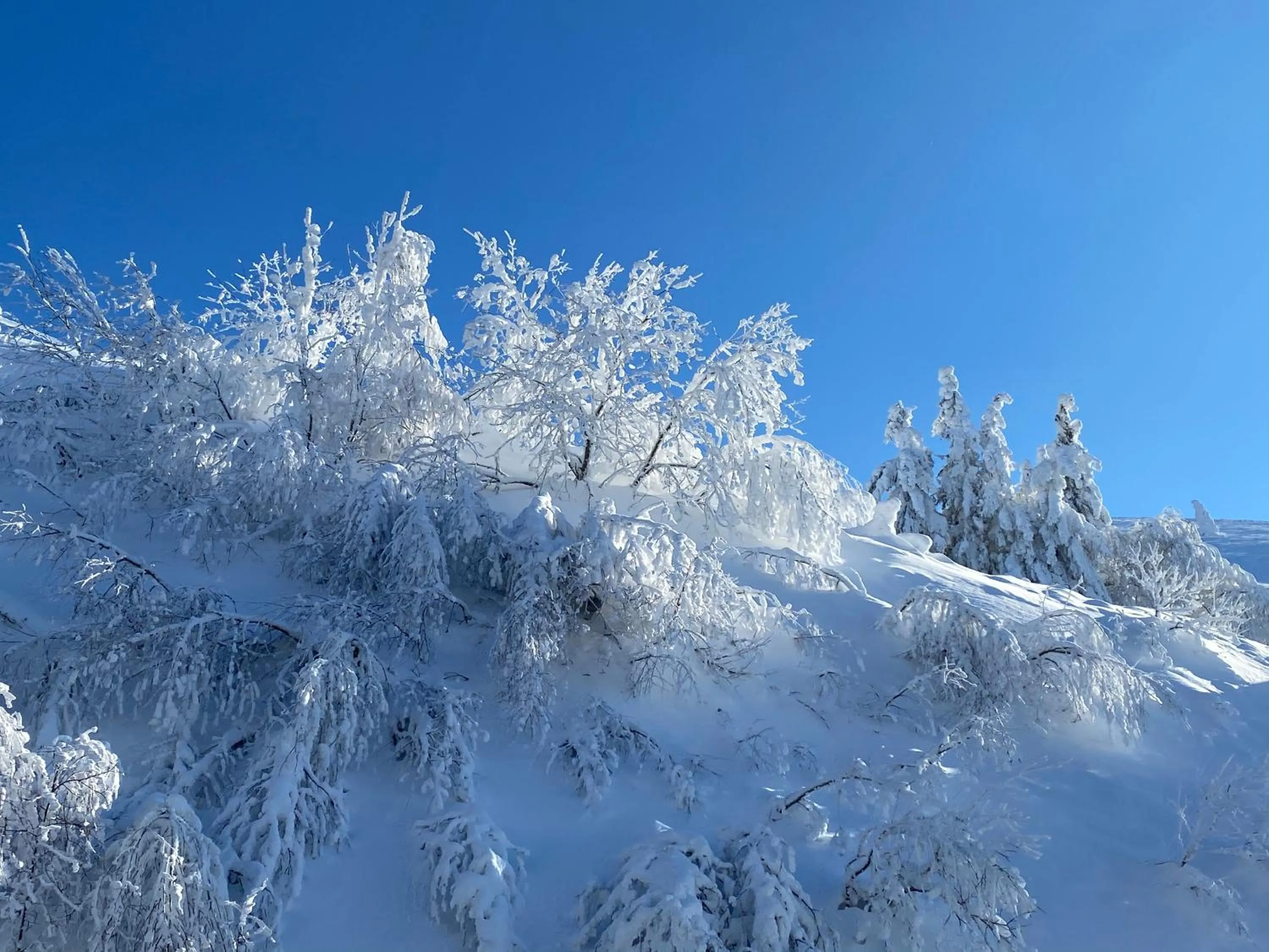 Natural landscape in Hôtel Les Mouflons