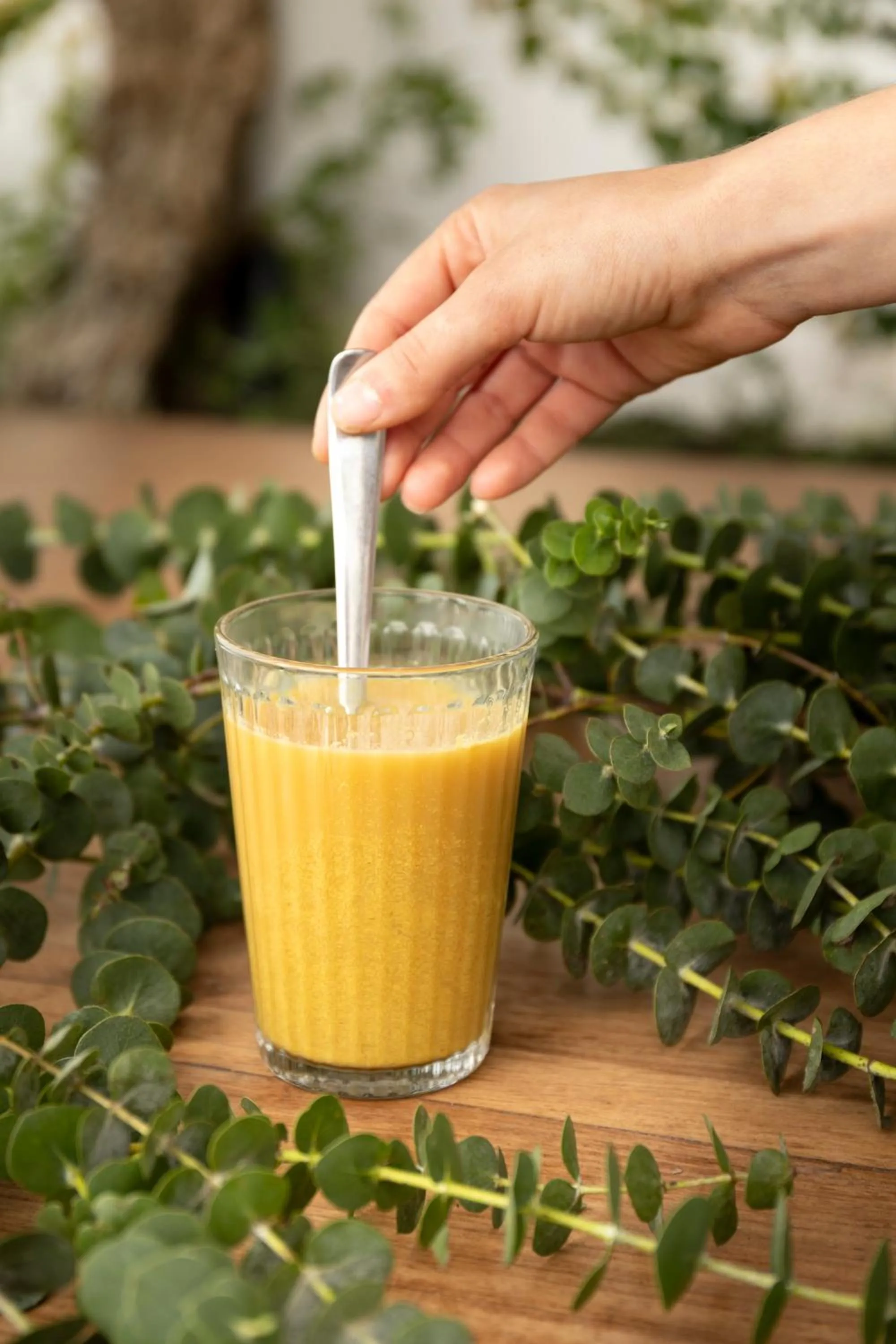 Day in LEGASEA - Cascais Guesthouse