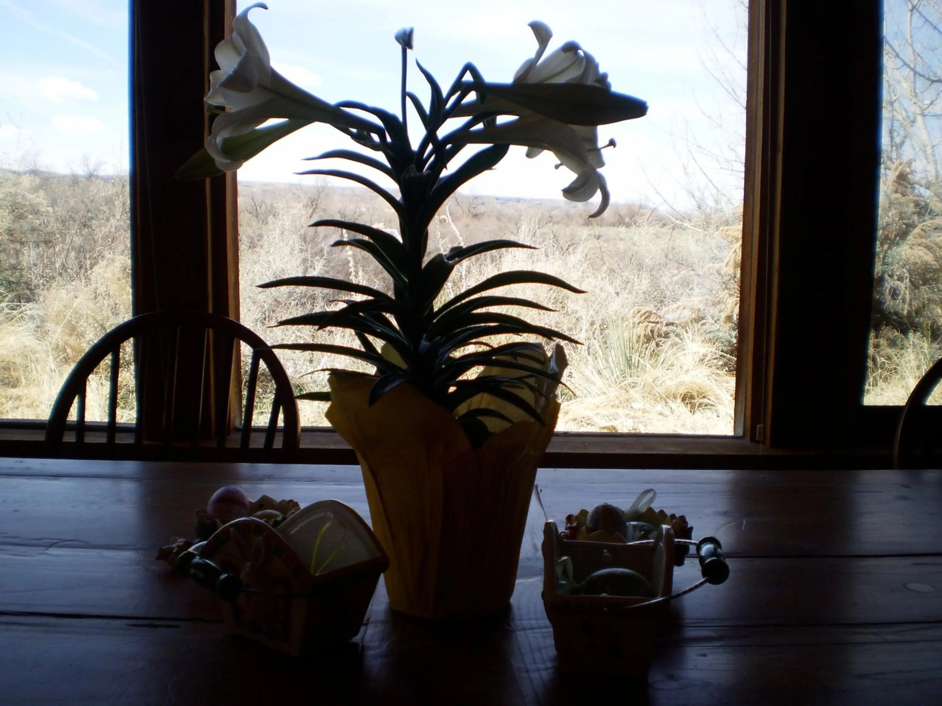 Silver River Adobe Inn Bed and Breakfast