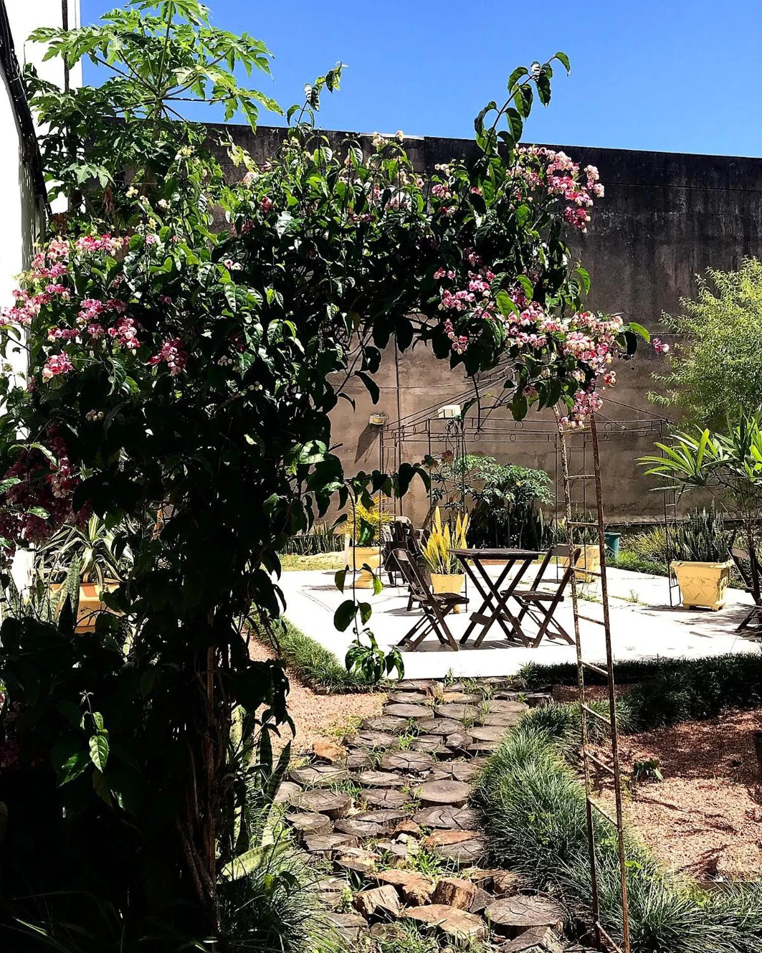 Garden view in Hotel Ibiá