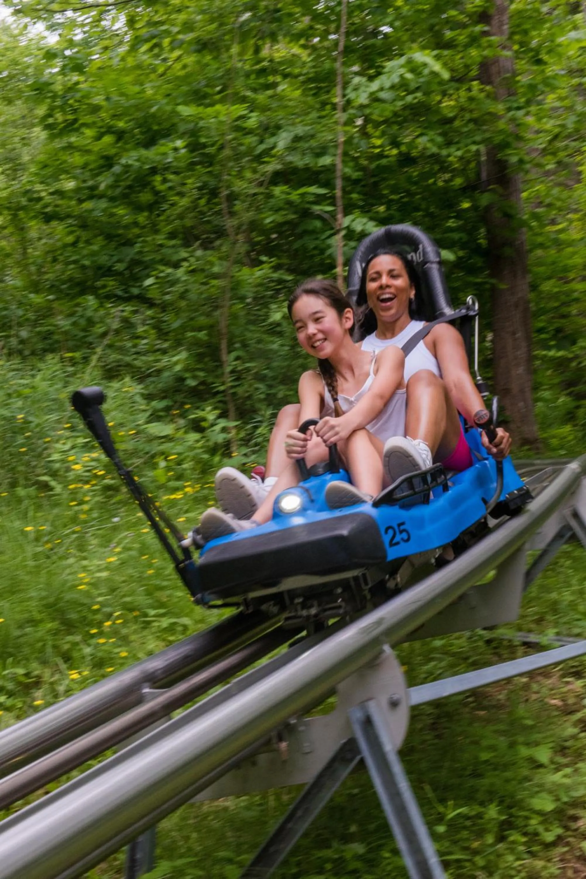 Activities in Blue Mountain Resort Inn