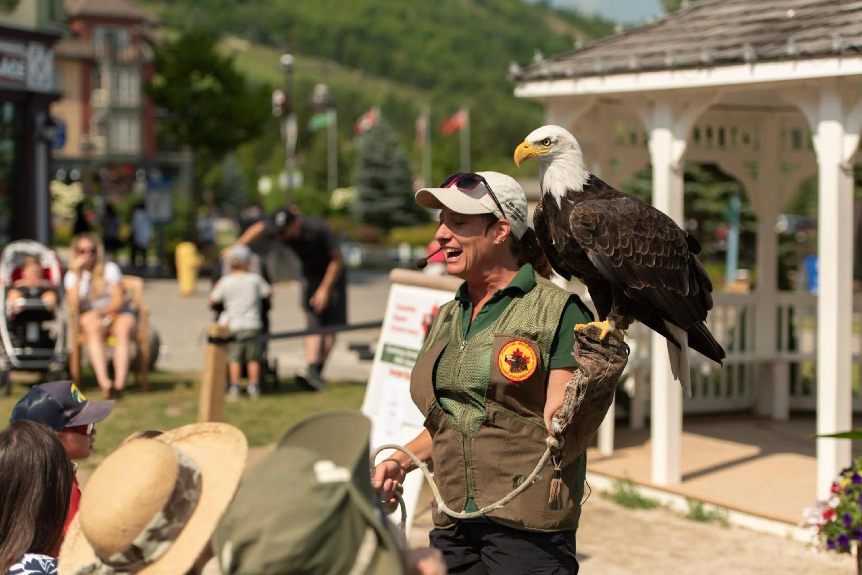 Entertainment in Blue Mountain Resort Home Collection