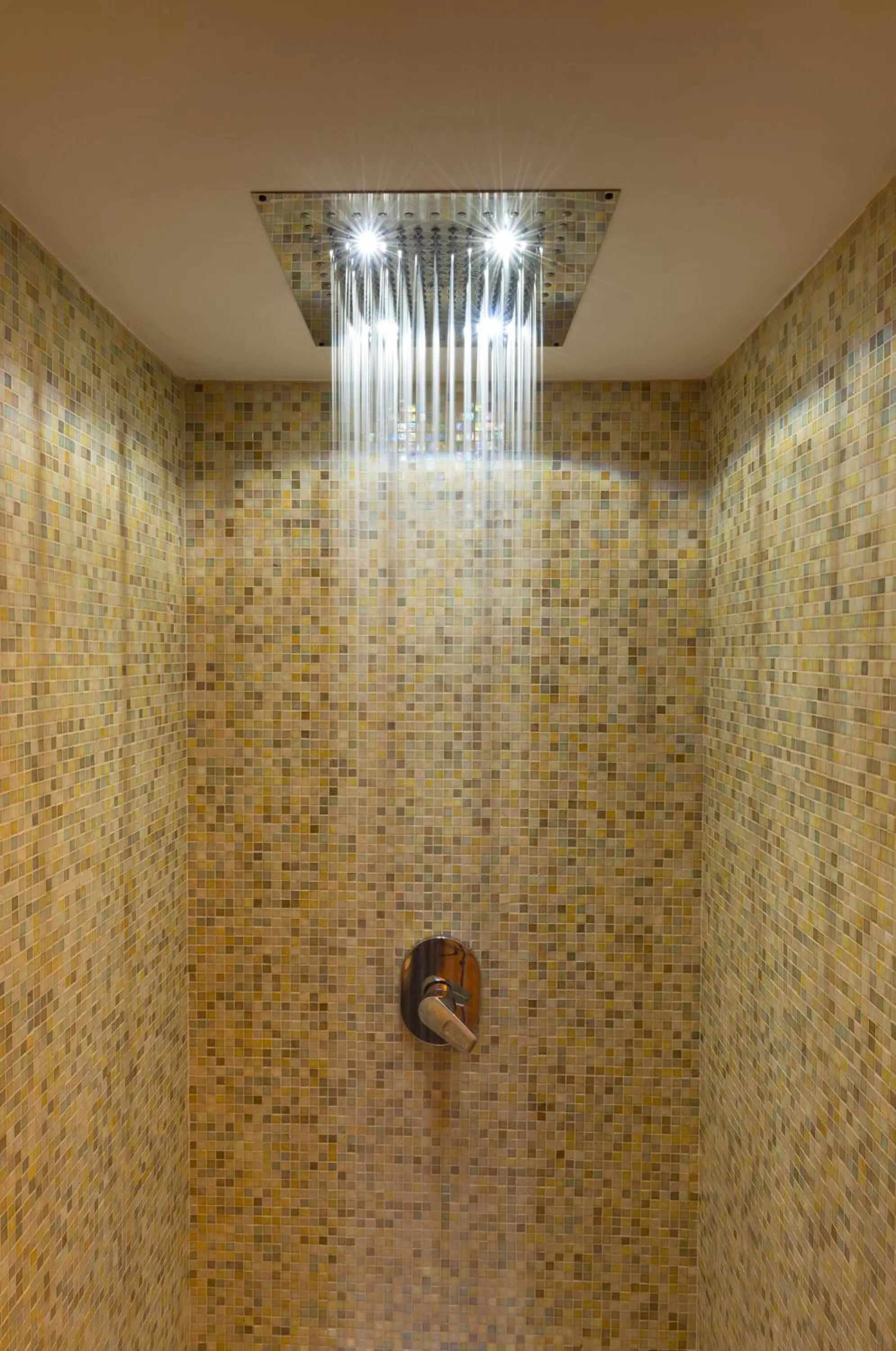 Spa and wellness centre/facilities in Palazzo Bezzi Hotel