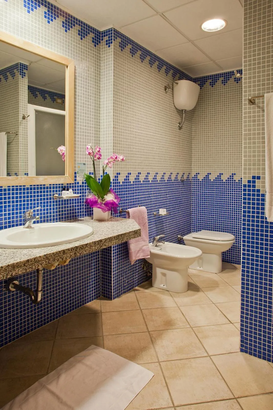 Toilet in Hotel Libyssonis