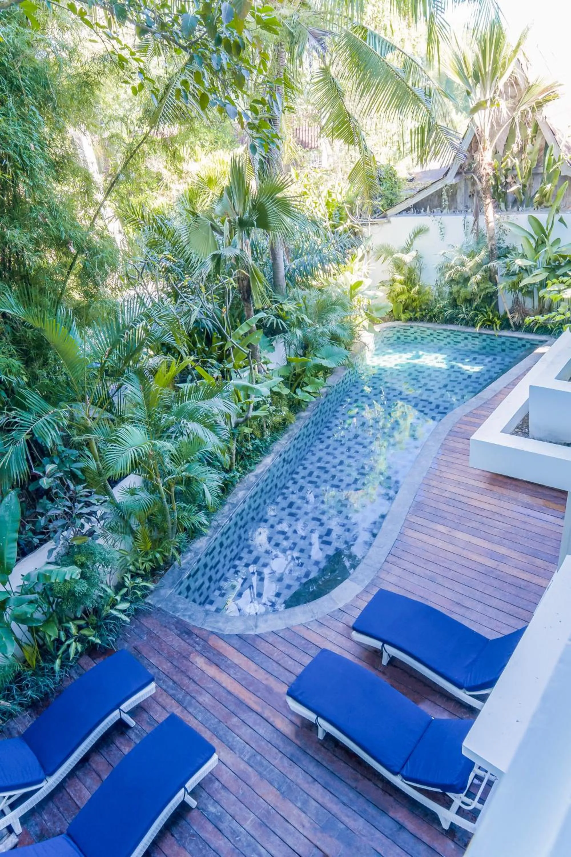 Bird's eye view in Umalas Suites