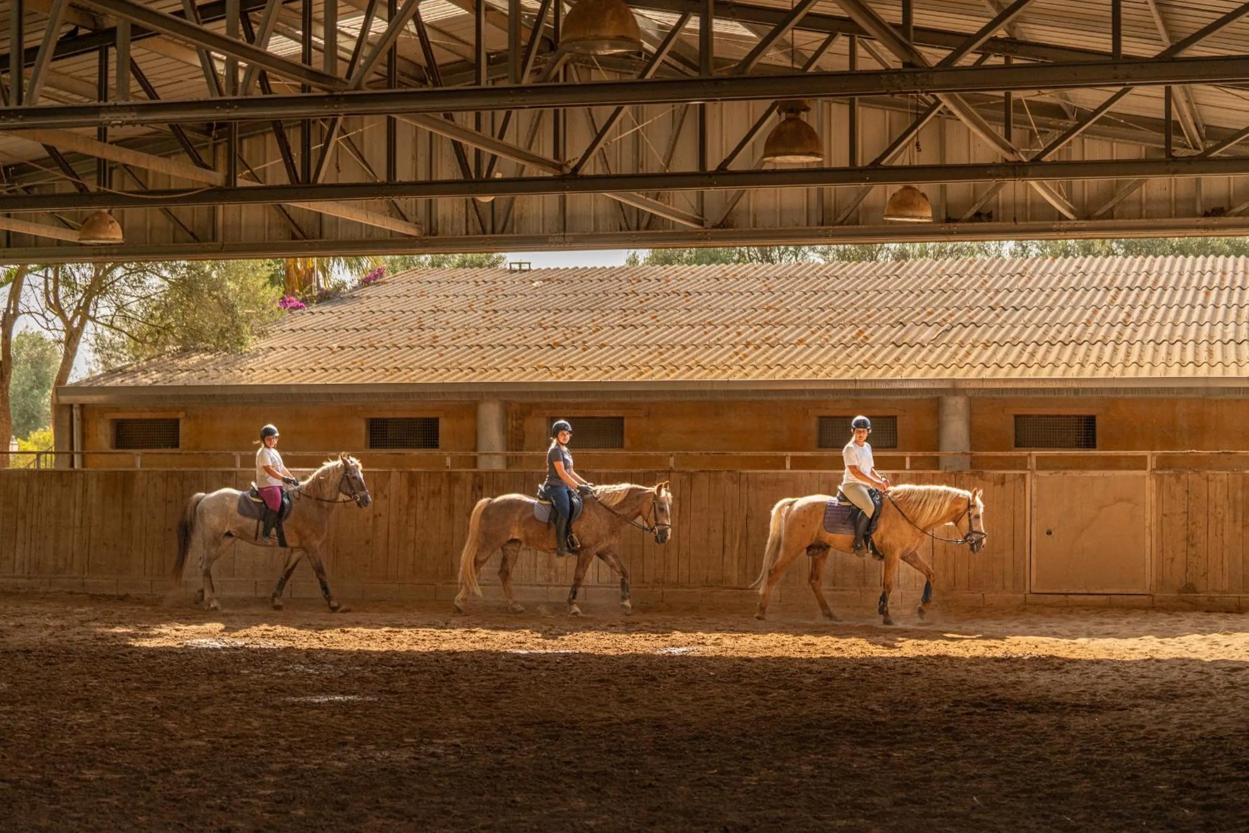Finca Agroturismo Son Menut