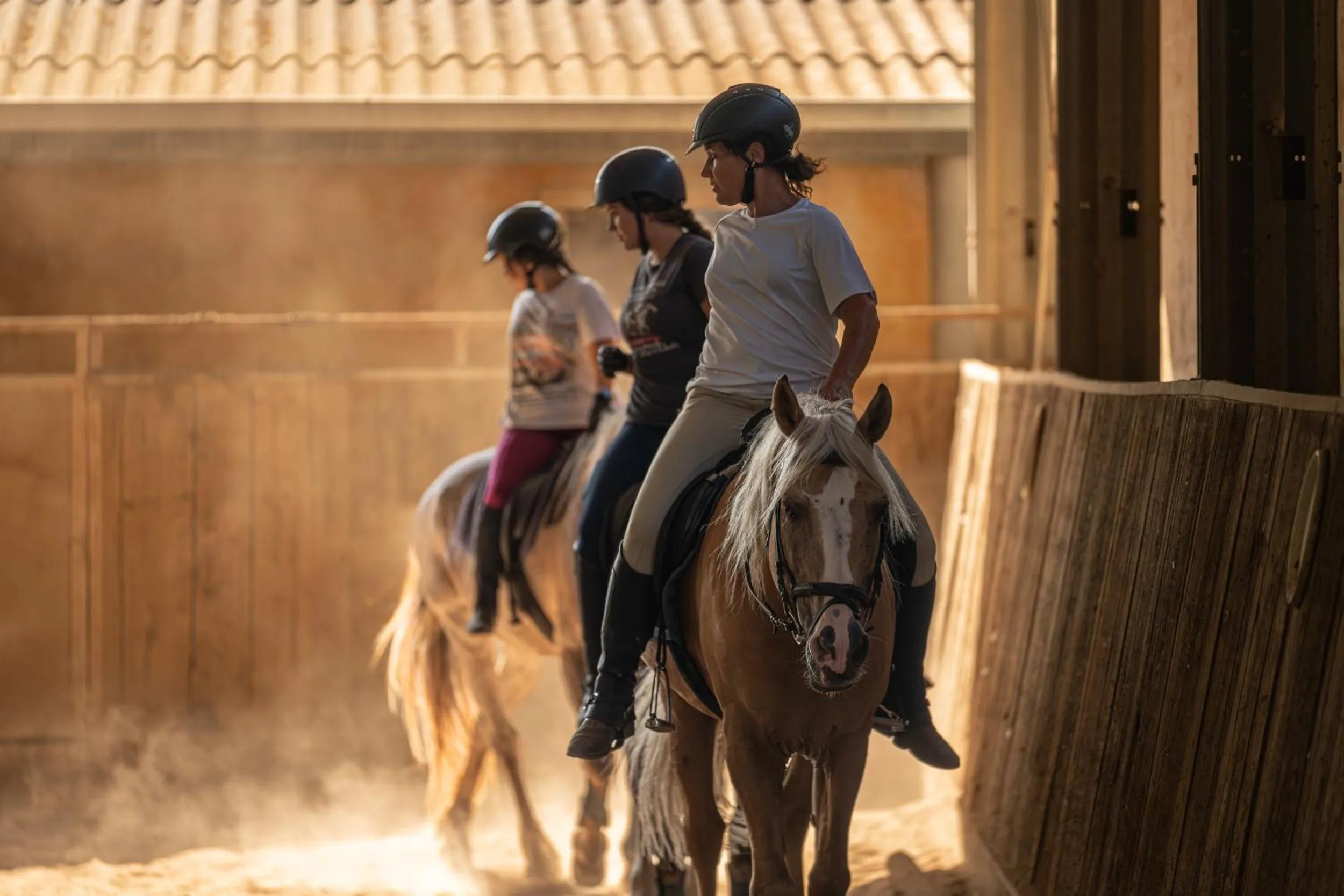 Finca Agroturismo Son Menut