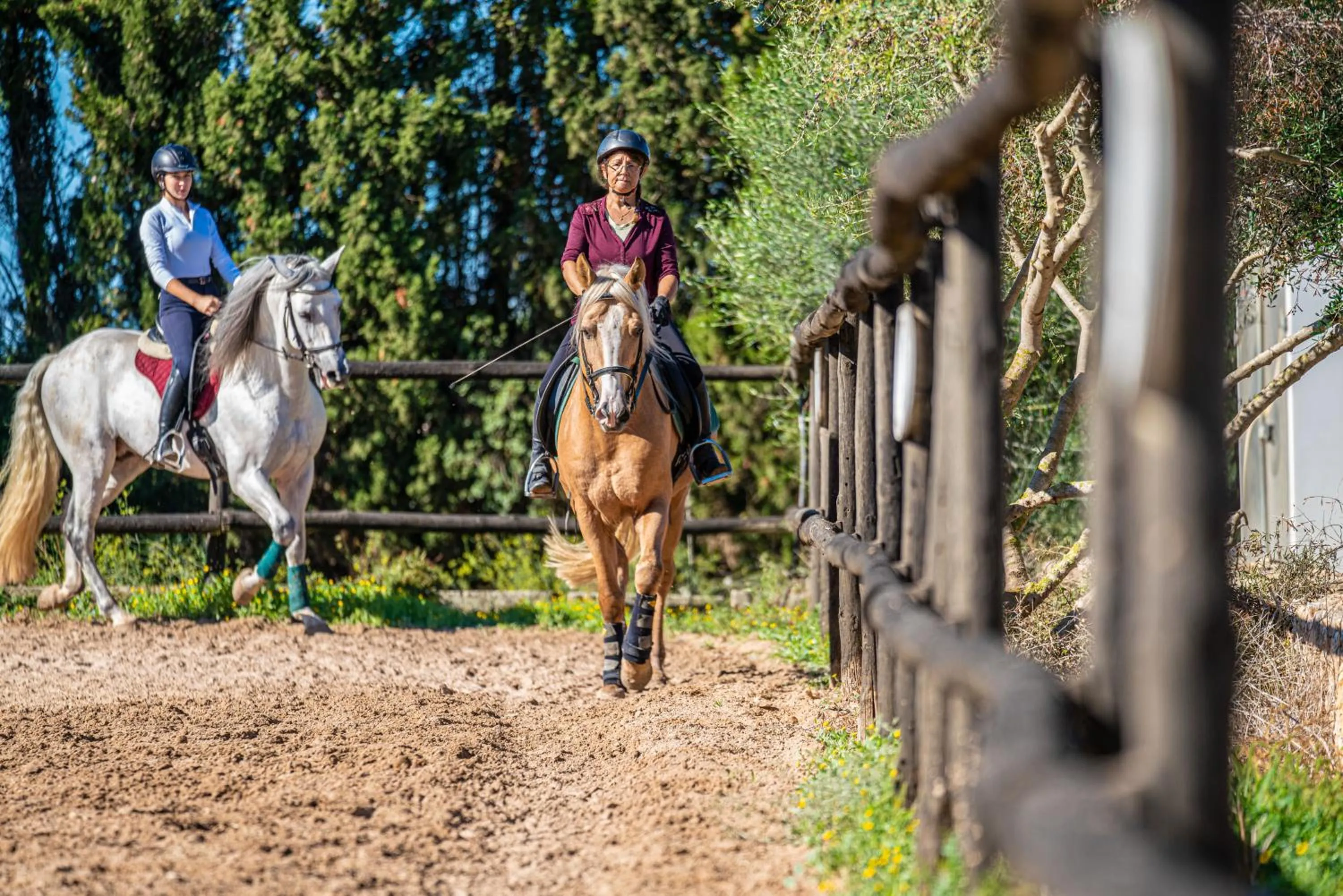 Finca Agroturismo Son Menut