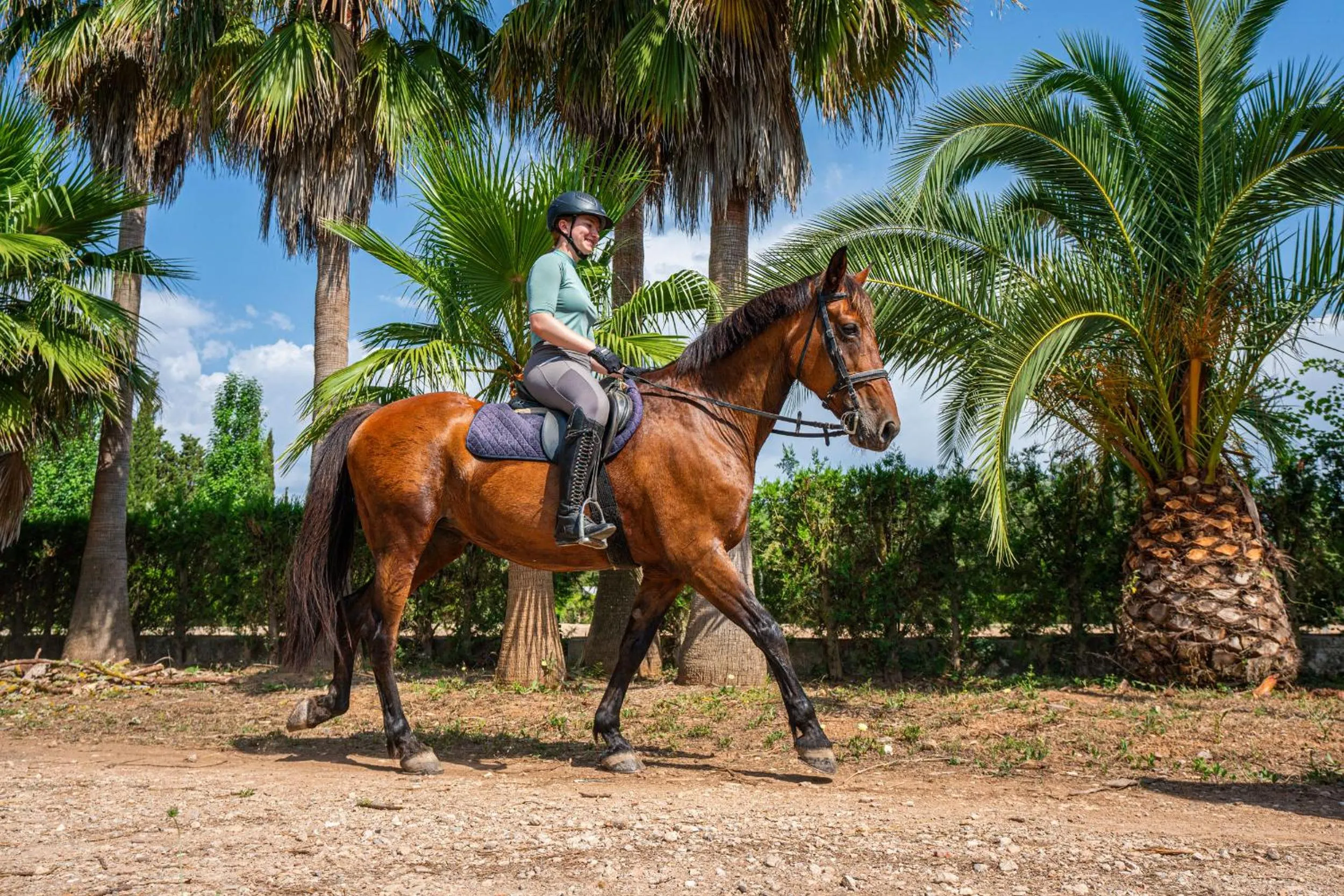 Finca Agroturismo Son Menut