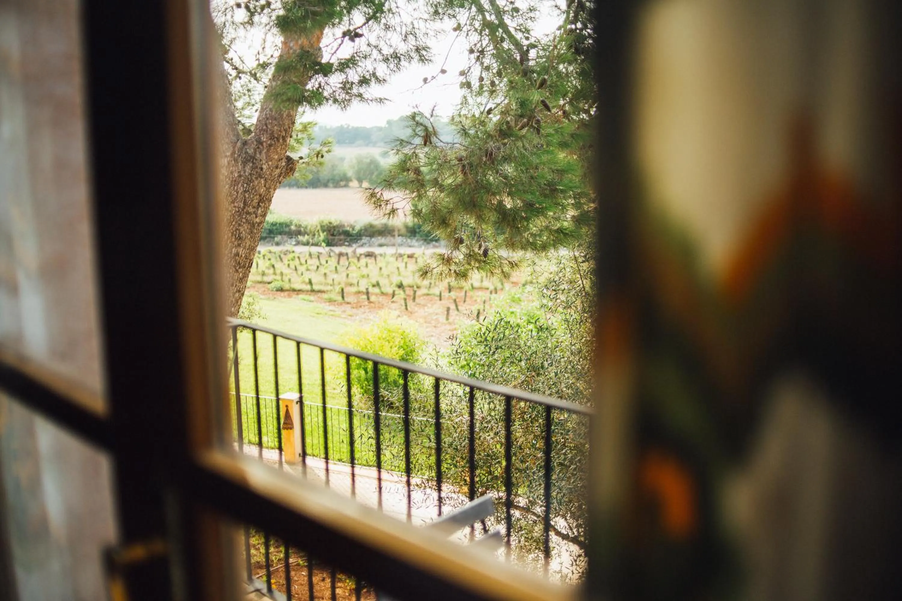 Garden view in Finca Agroturismo Son Menut