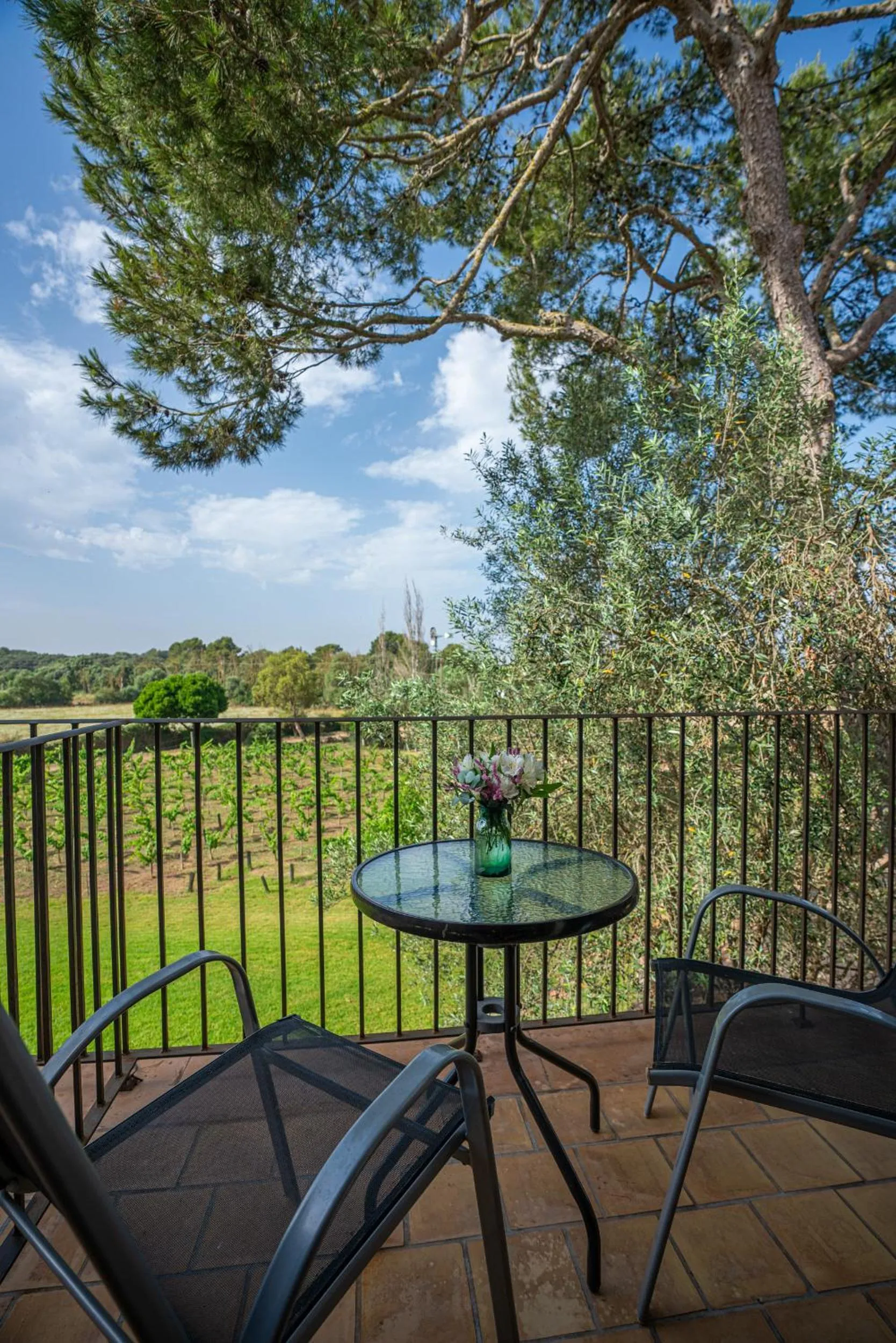 Finca Agroturismo Son Menut