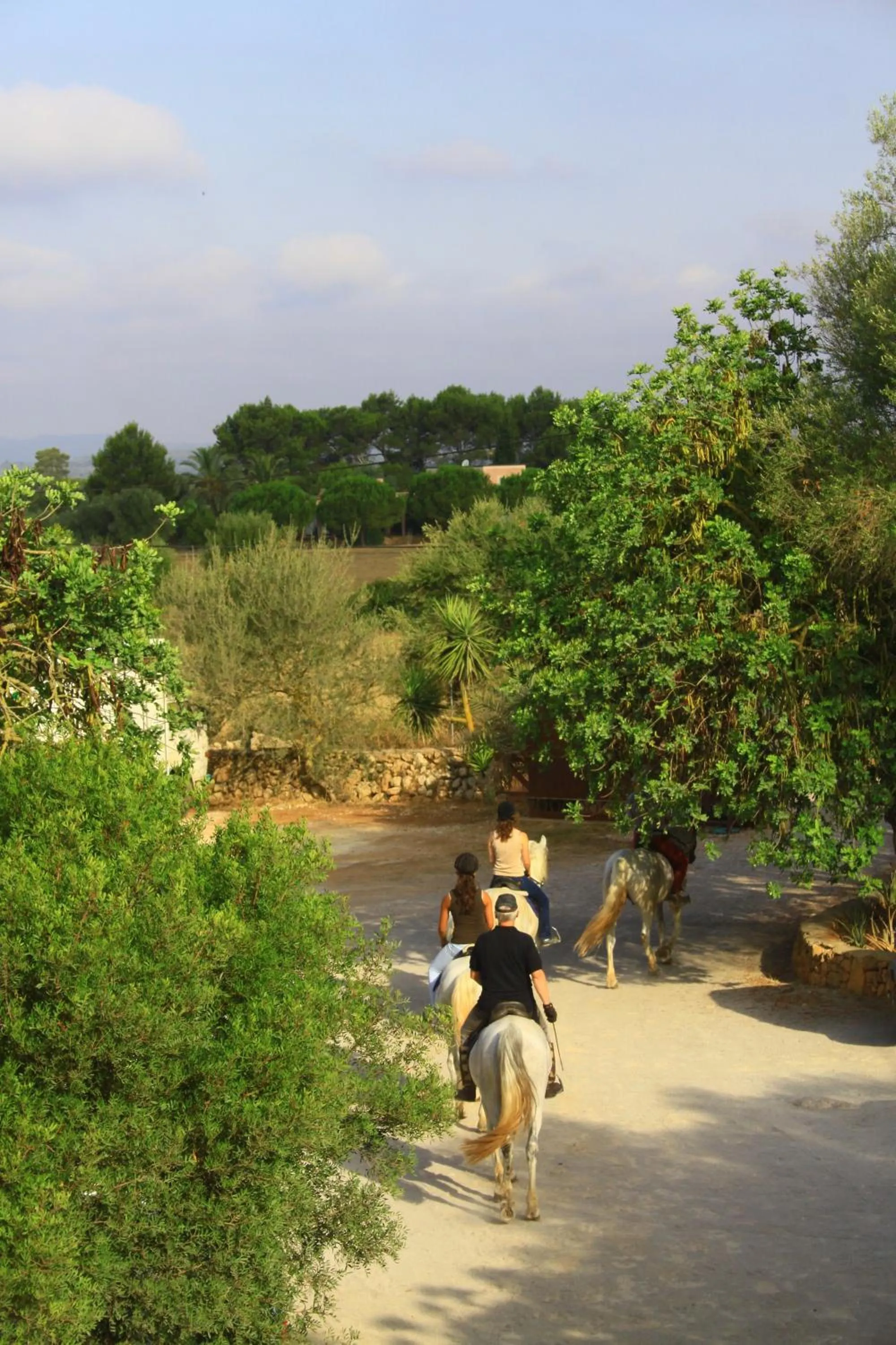 Horse-riding in Finca Agroturismo Son Menut