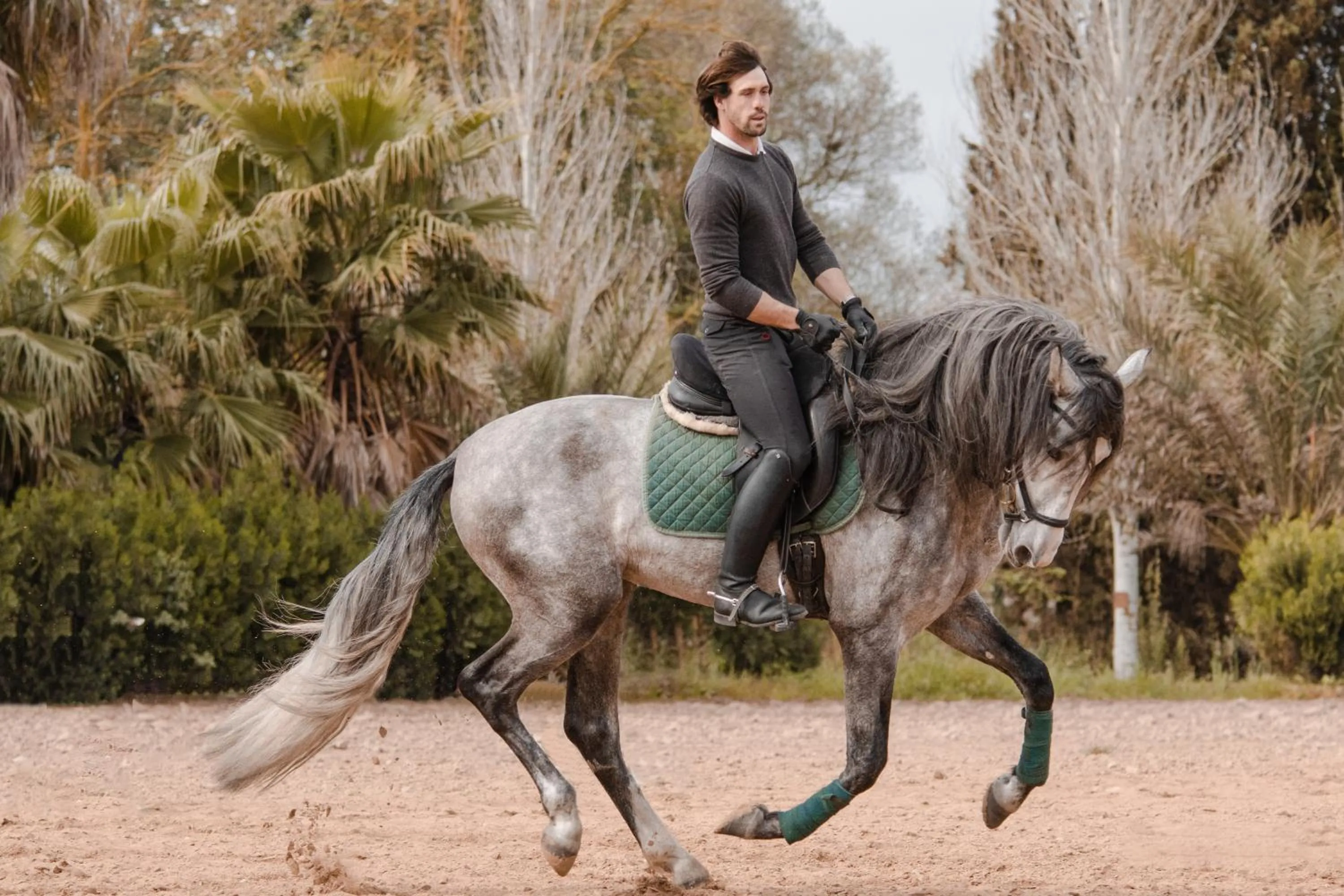 Finca Agroturismo Son Menut