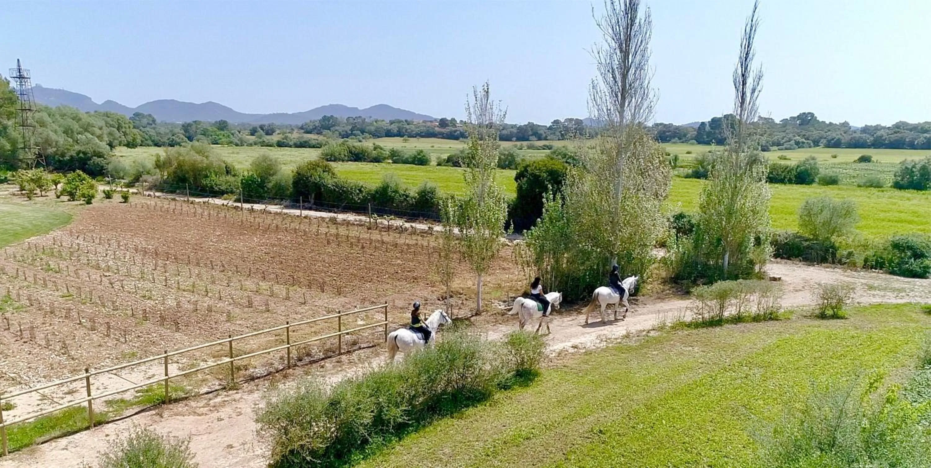 Horse-riding in Finca Agroturismo Son Menut