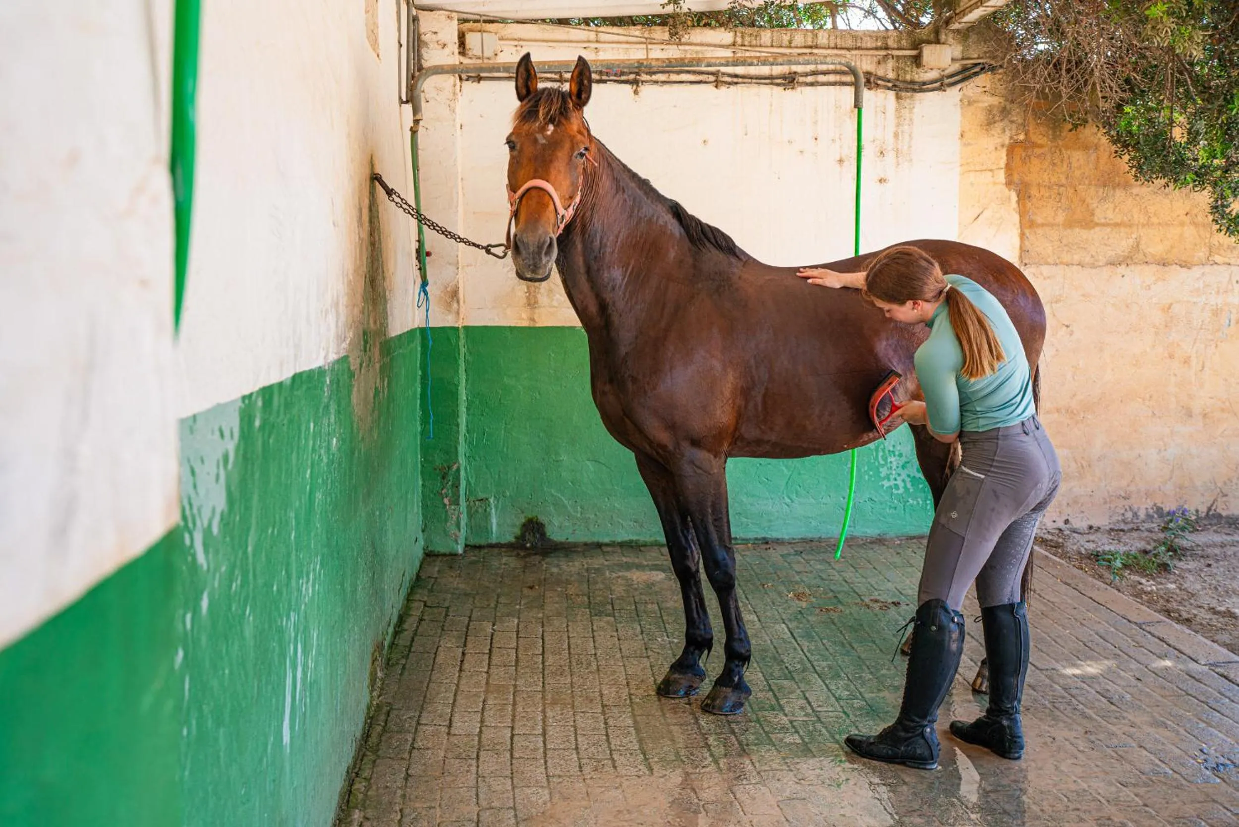 Finca Agroturismo Son Menut