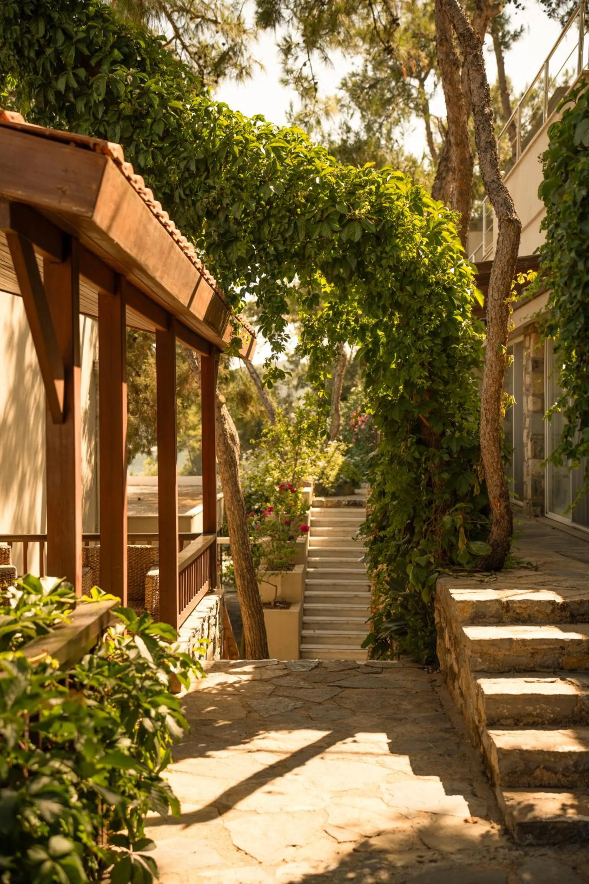 Garden in Sarpedor Boutique Hotel