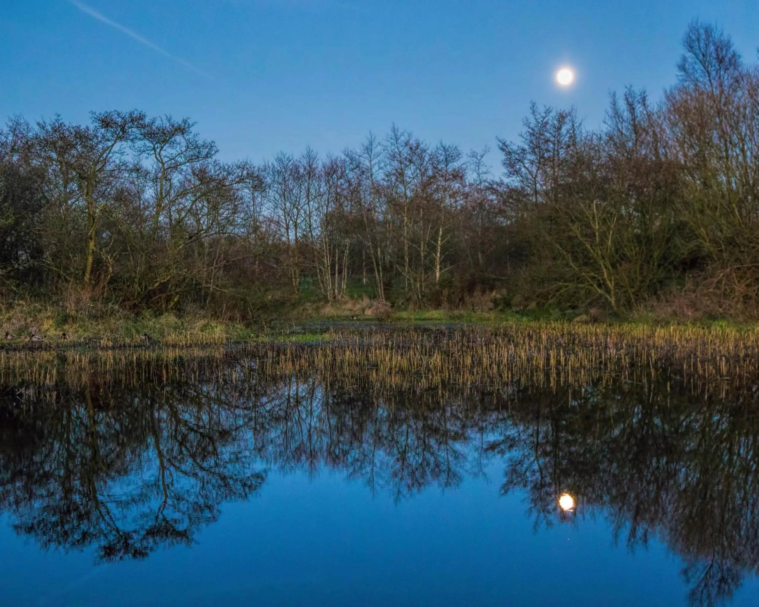 Other in Ballylagan Organic Farm