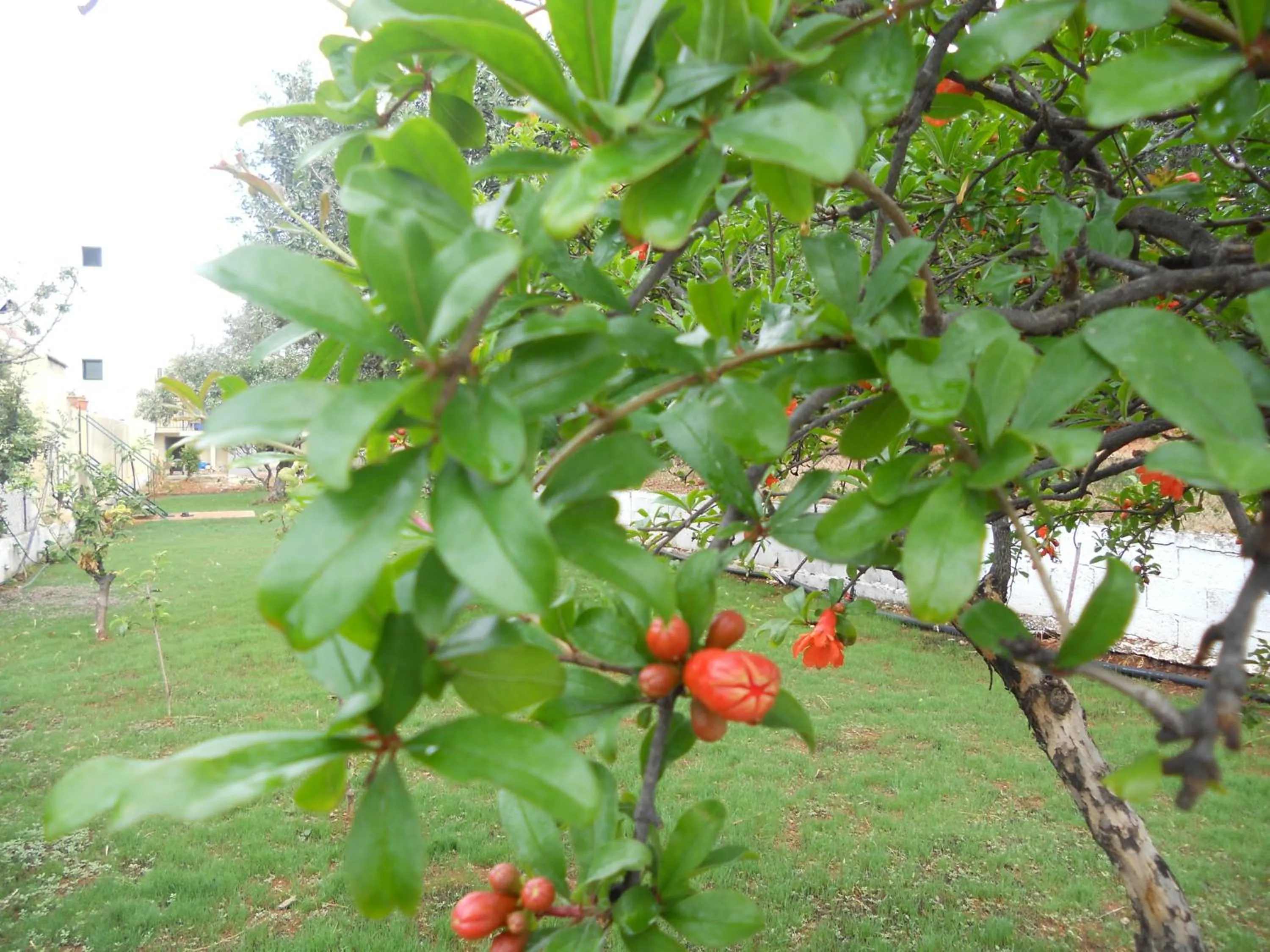 Facade/entrance in Aspri Petra Apartments