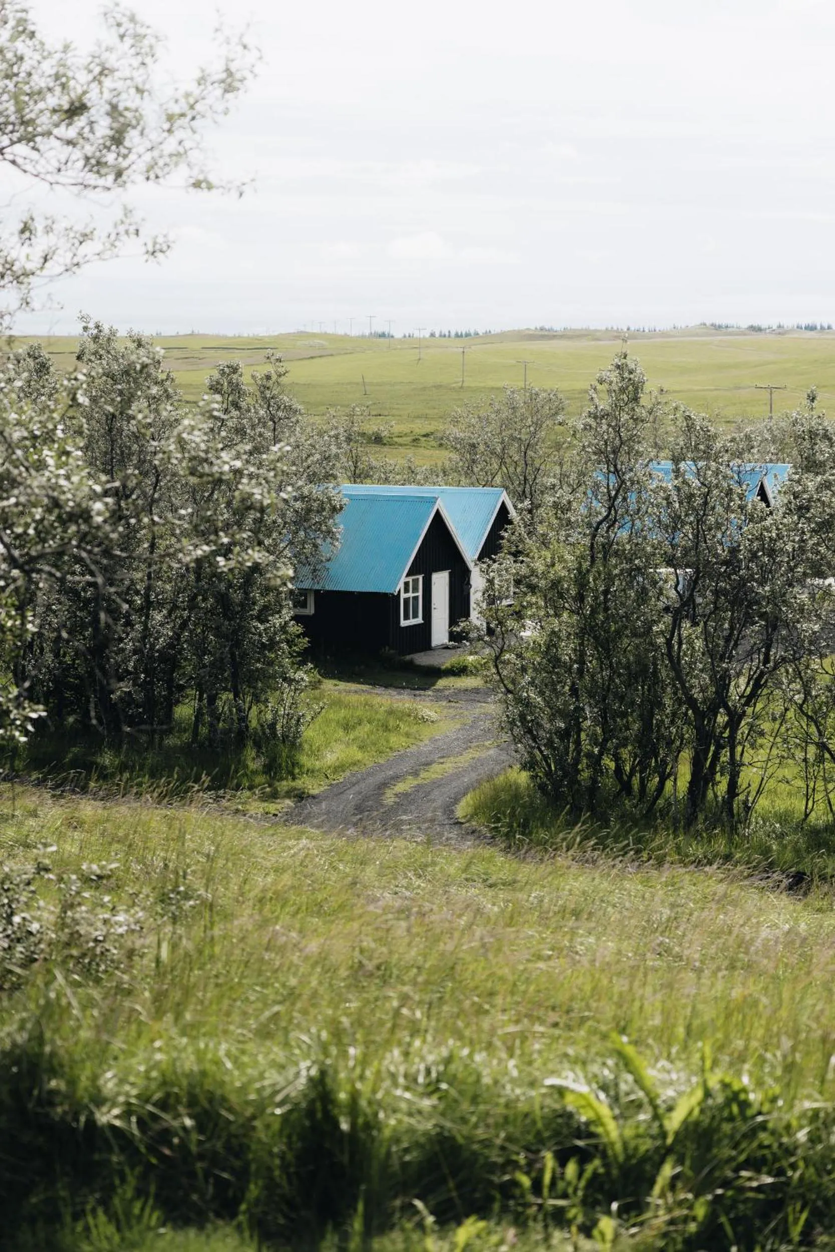 Spring in Hotel Laki