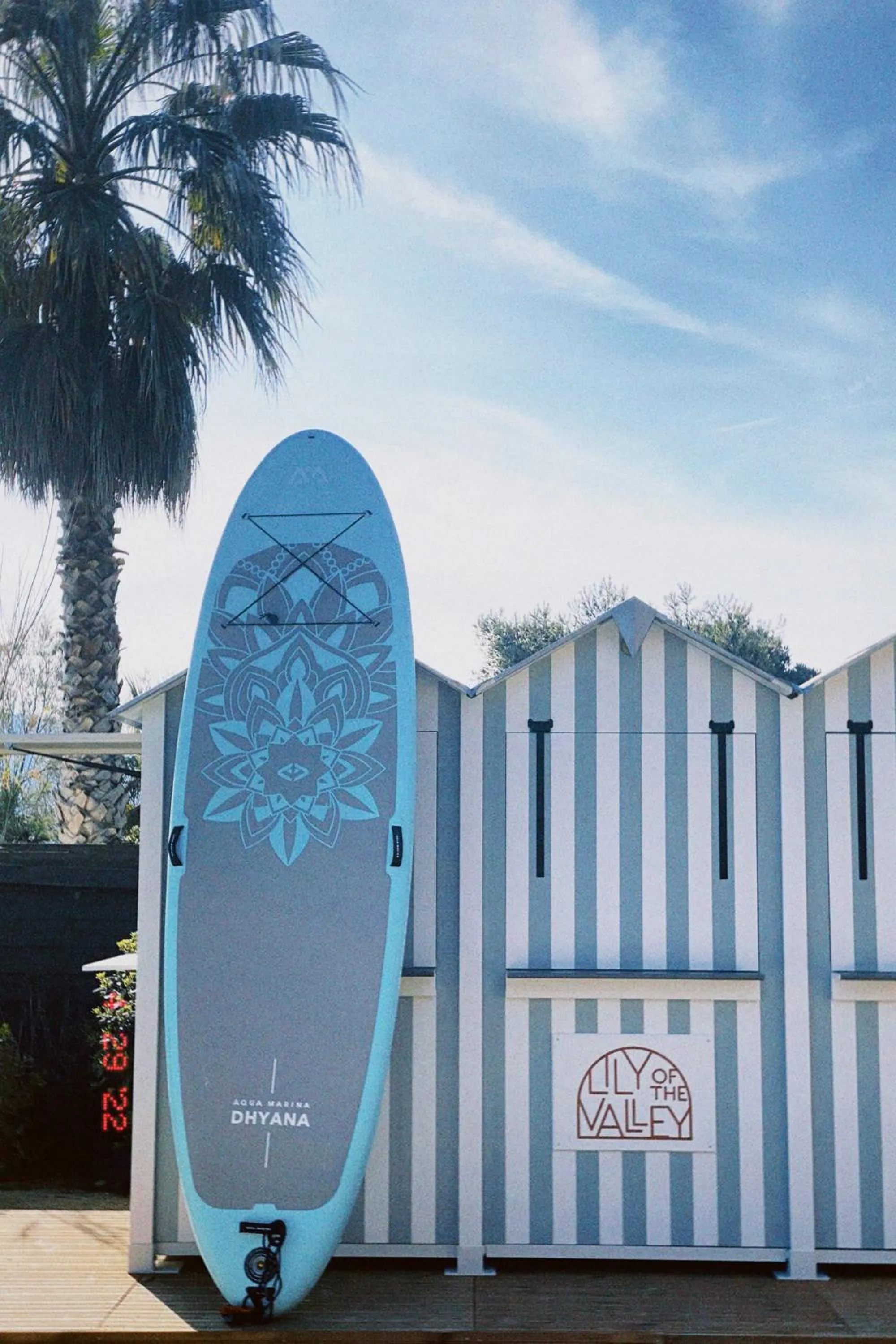 Activities in Lily of the Valley