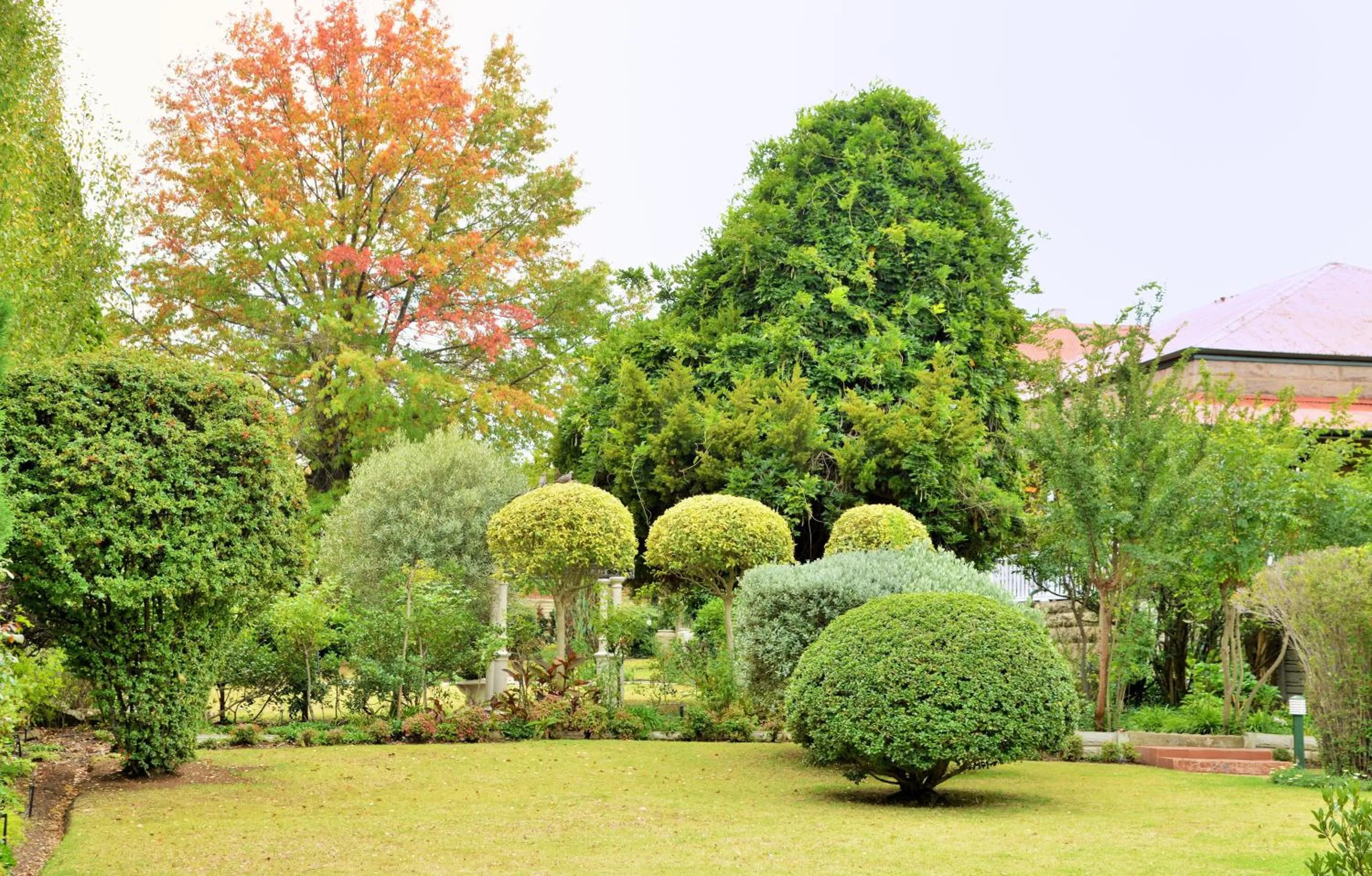 Garden in Die Kliphuis
