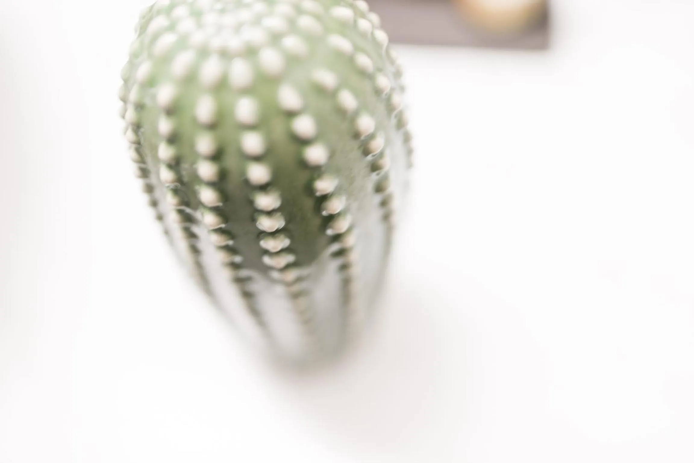 Decorative detail in Agave Santorini Design Boutique Hotel