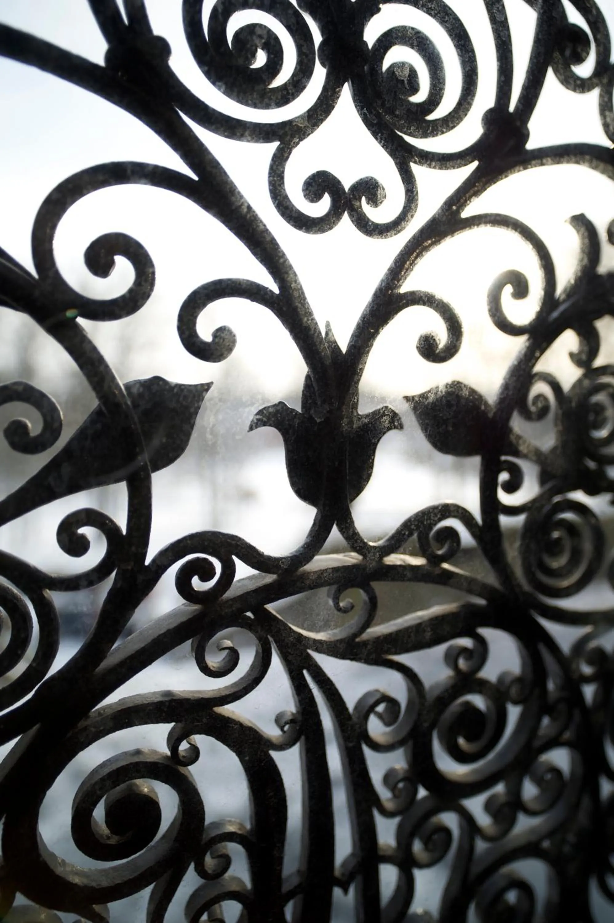 Day in Teleborgs Slott