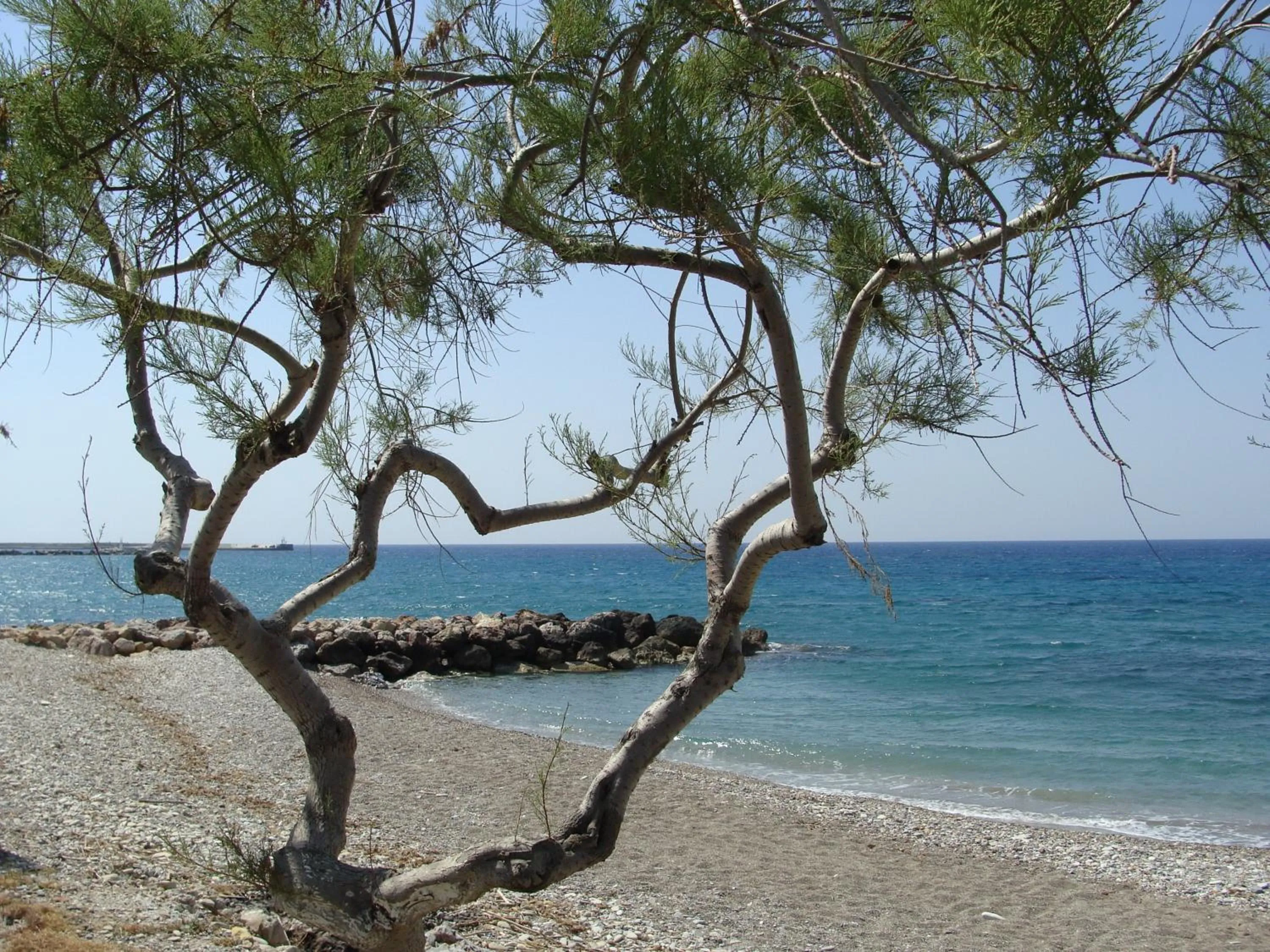 Natural landscape in Hesperia Hotel