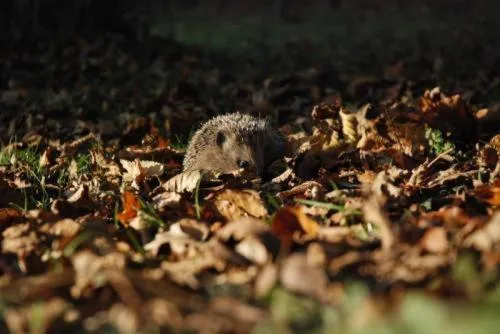Area and facilities in Hotel Saint-Martin