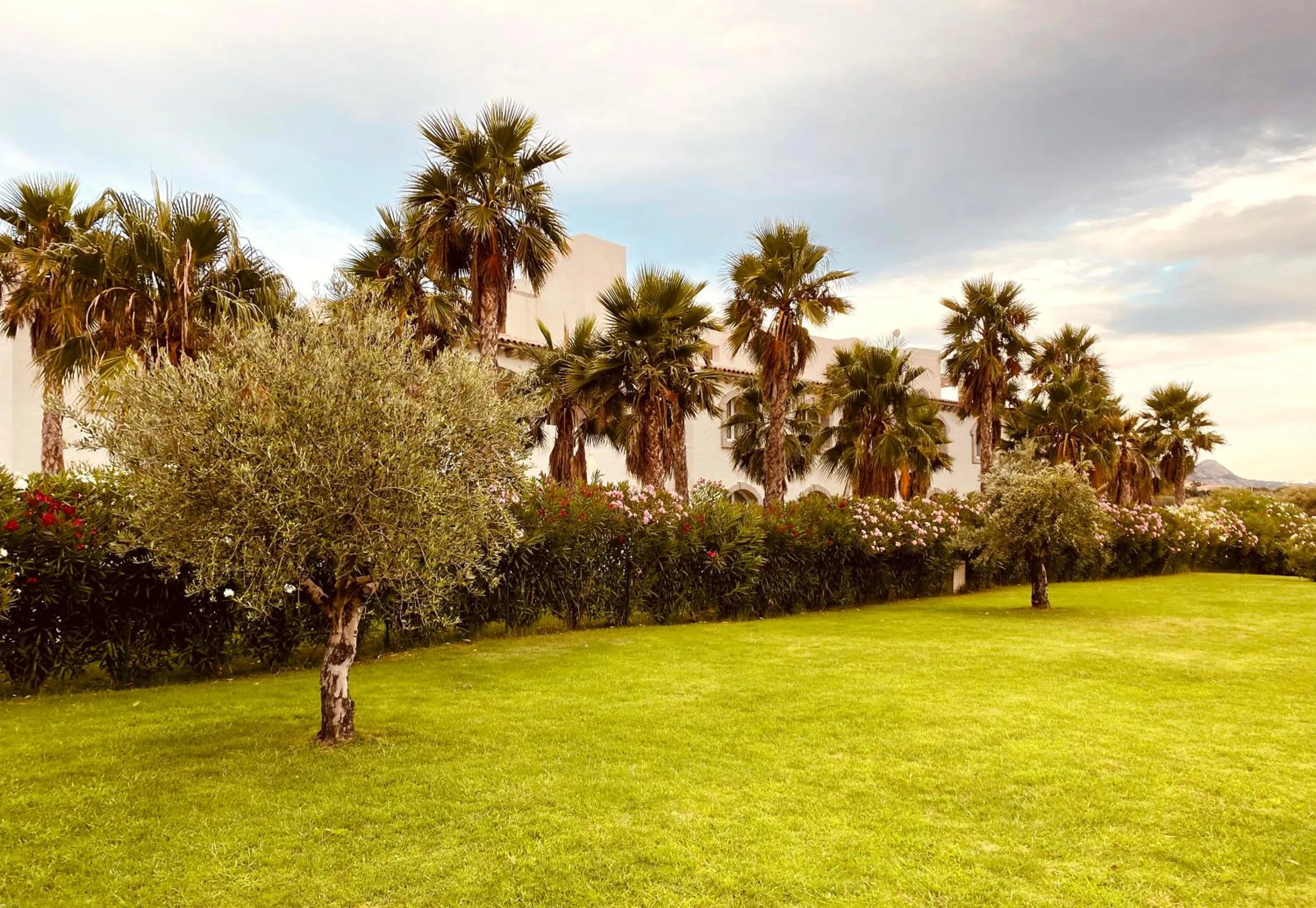 Garden in Grand Hotel Cannigione