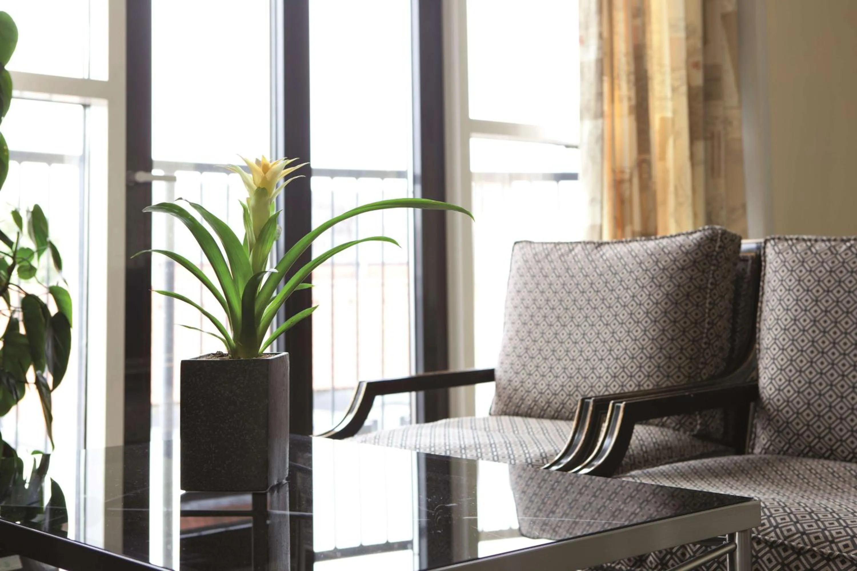 Photo of the whole room in Radisson Blu Limfjord Hotel, Aalborg