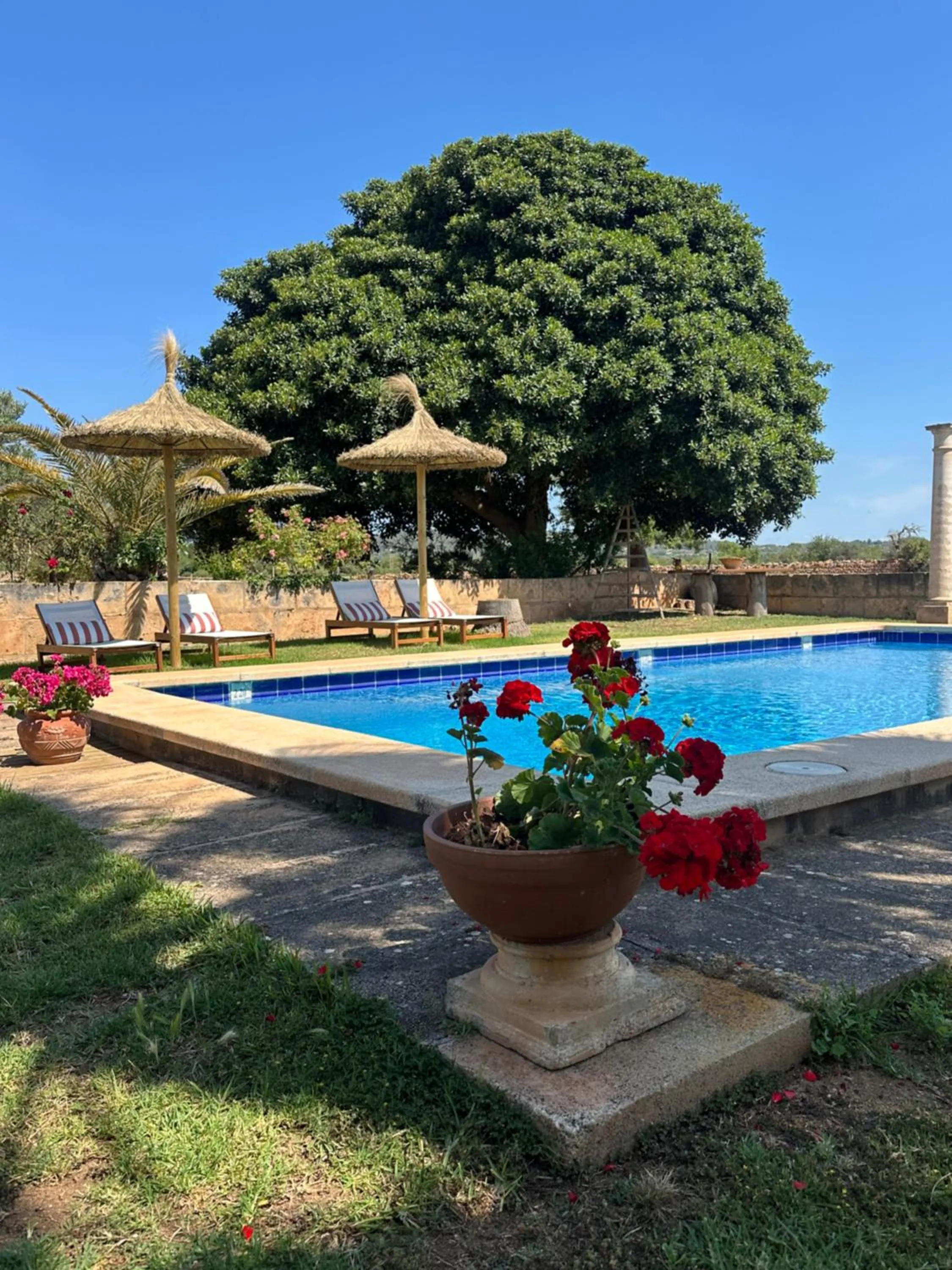 Natural landscape in Agroturismo Finca Son Pieras