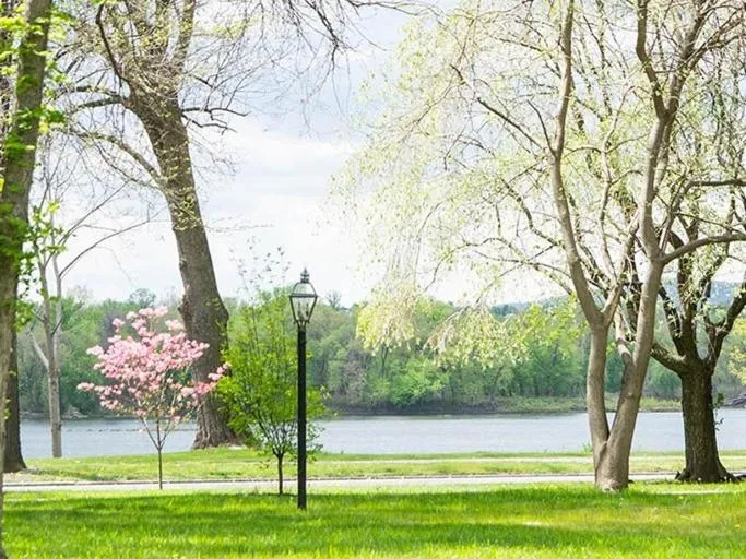 View (from property/room) in The Manor on Front