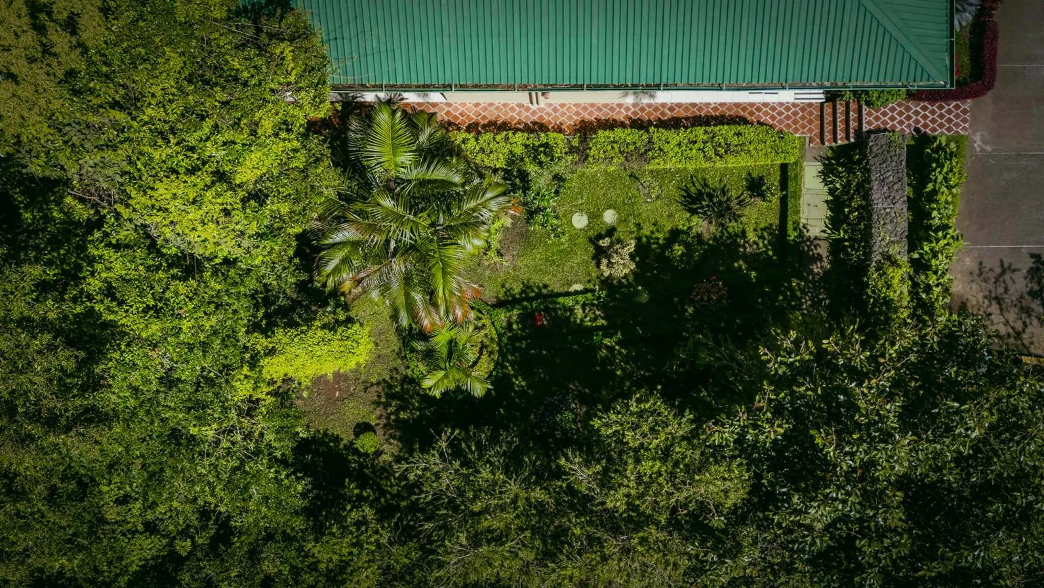 Garden in Ficus Sunset Suites