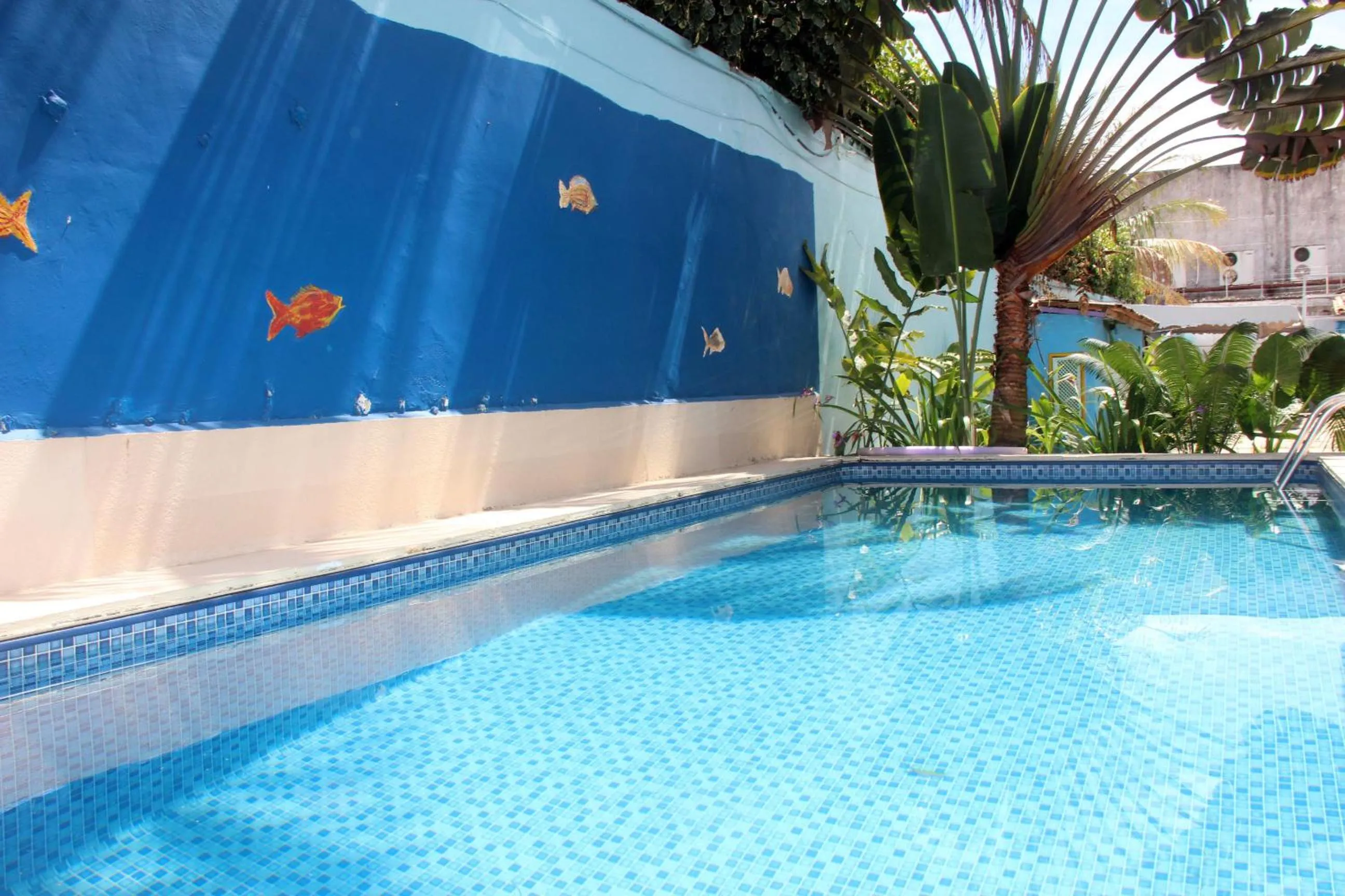 Garden in Porto Bahia Hotel