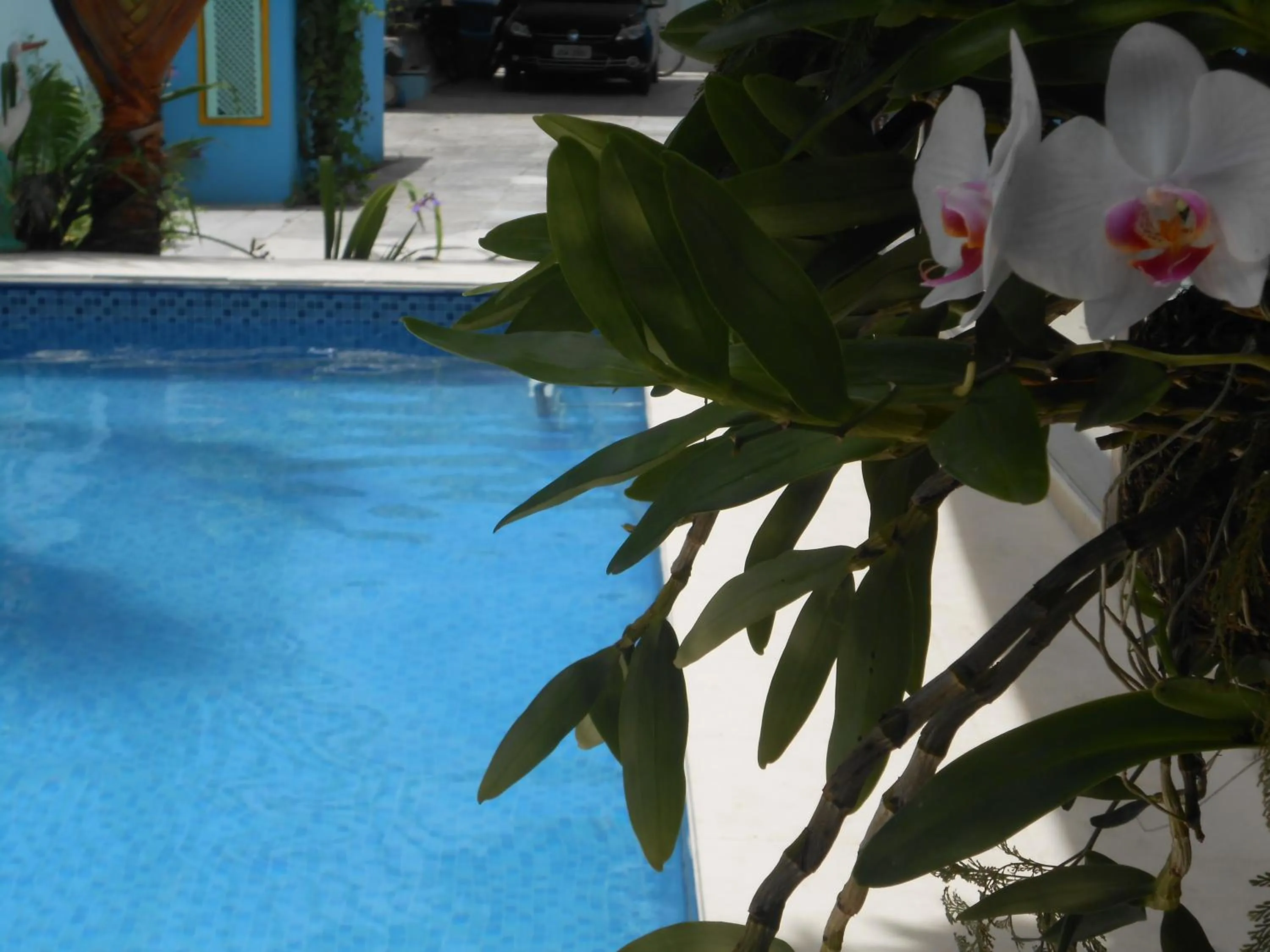 Garden in Porto Bahia Hotel