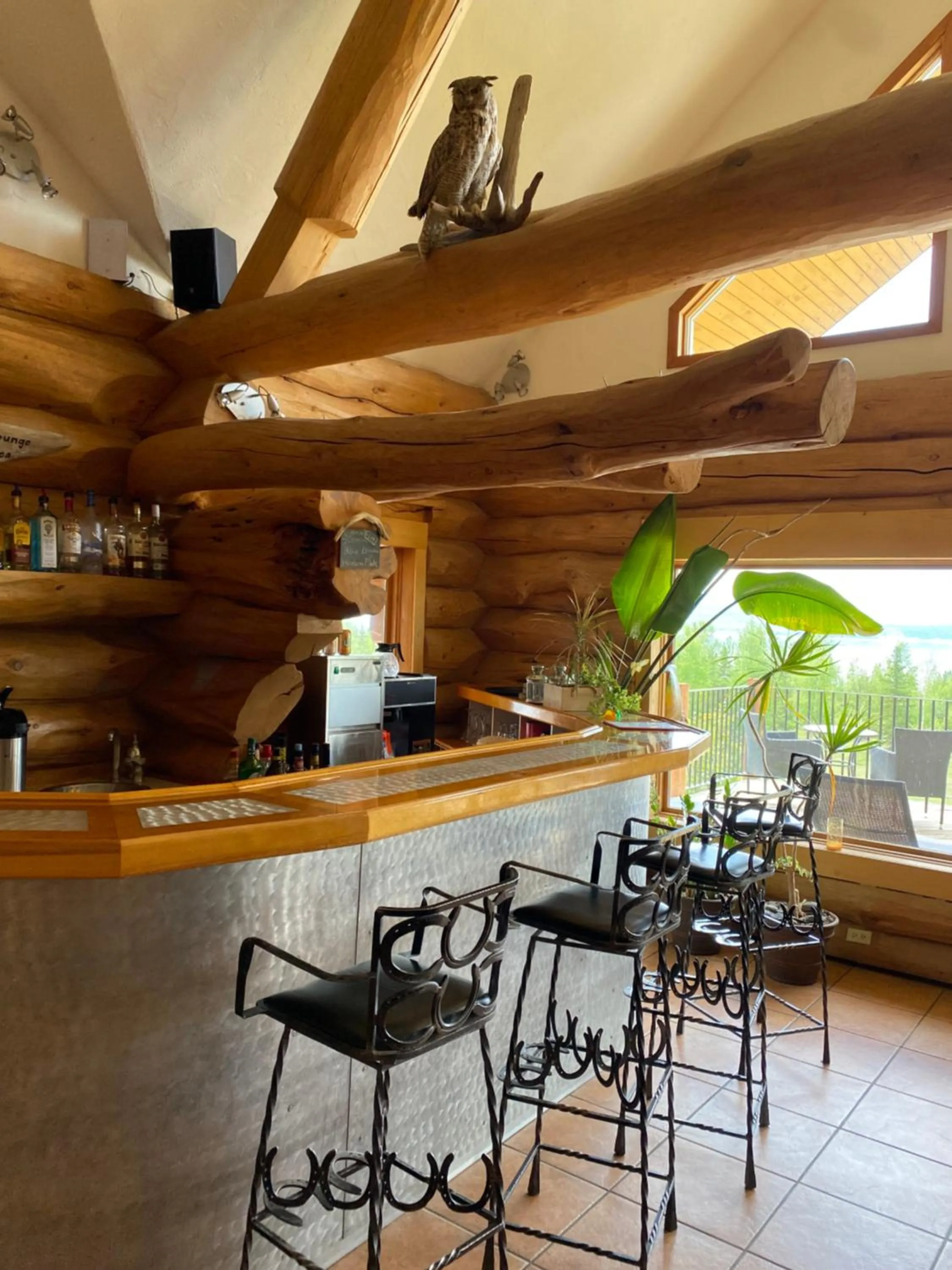 Lounge or bar in Williston Lake Resort