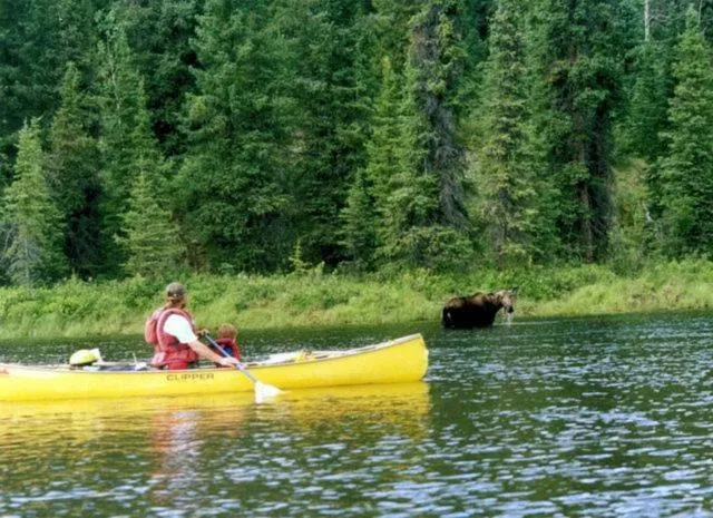 Activities in Williston Lake Resort